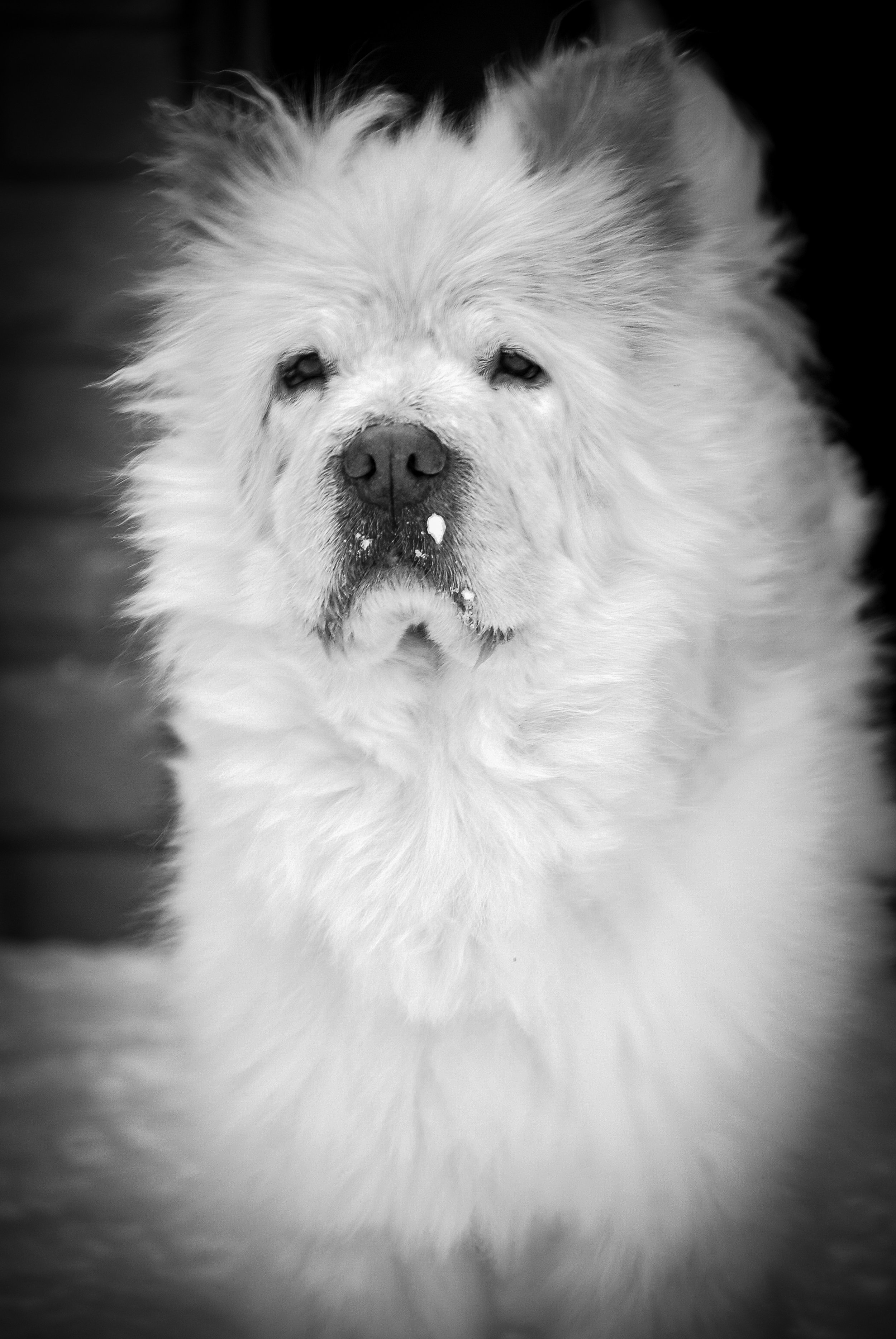 DSC_0401.jpg