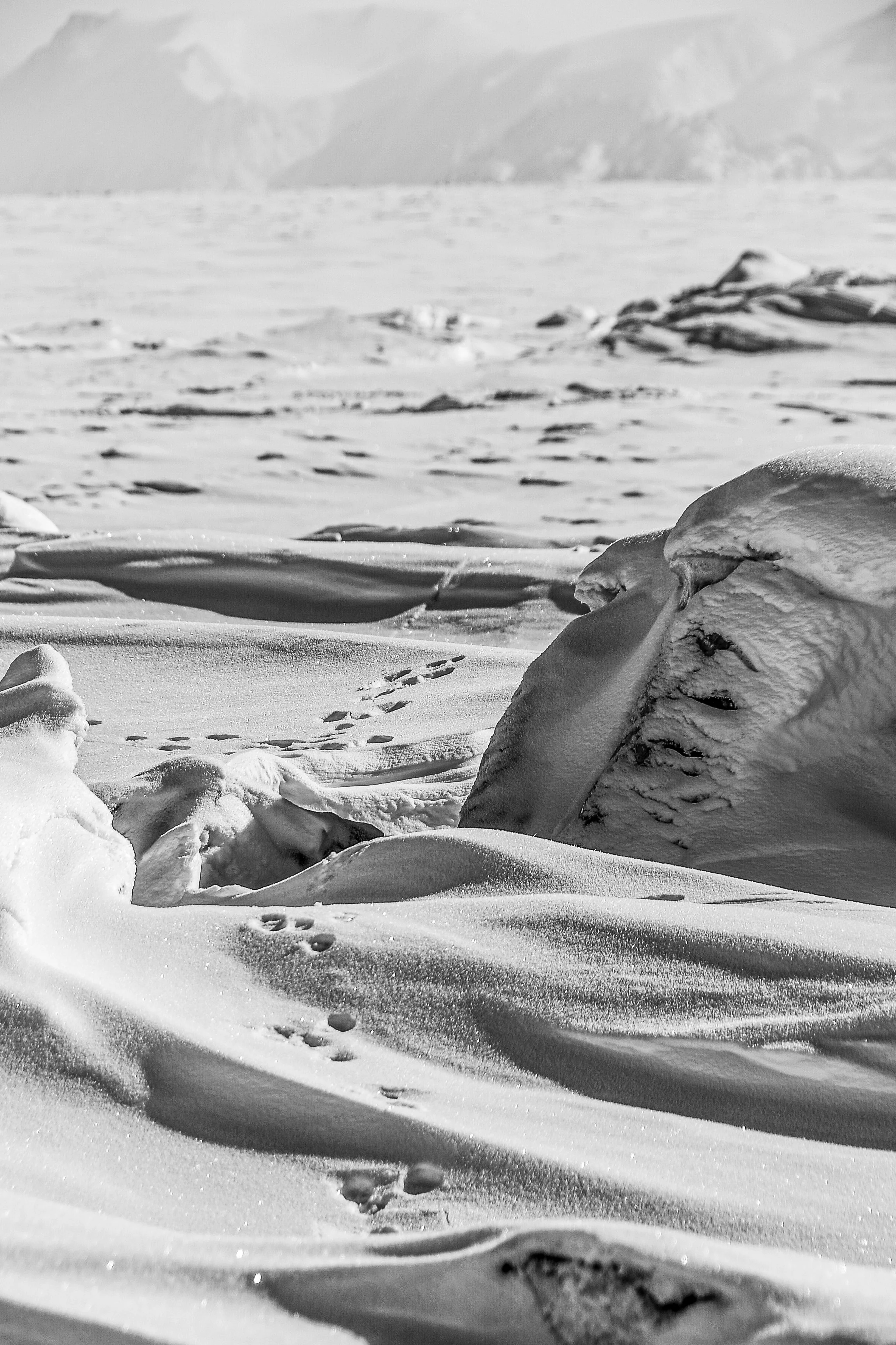 DSC_2800.jpg