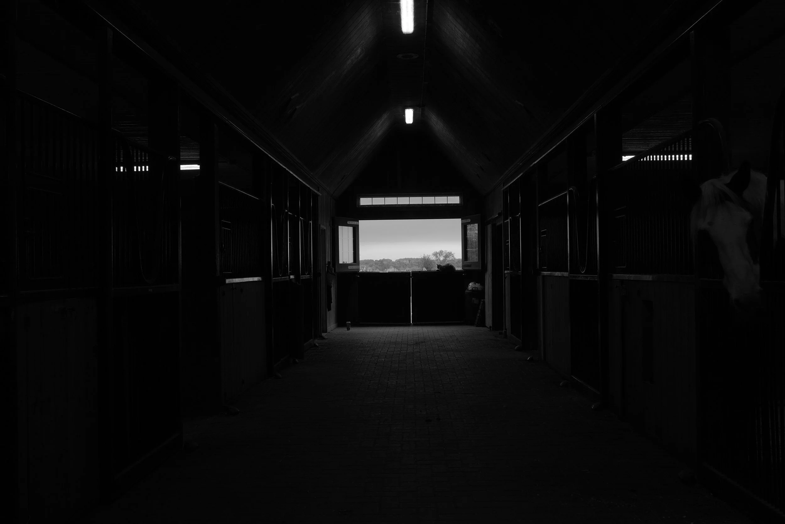DSCF2108.JPG