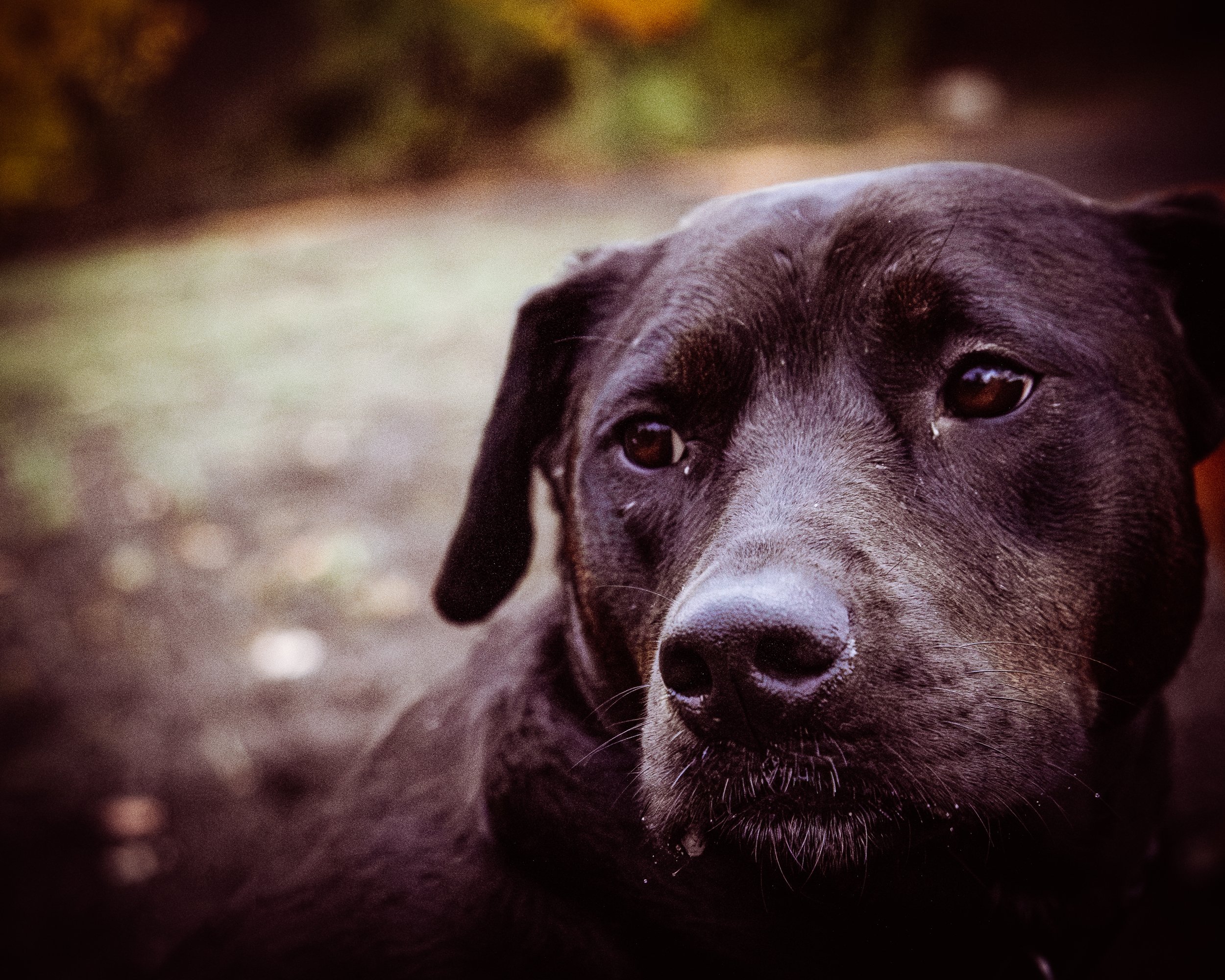DSCF6208.jpg