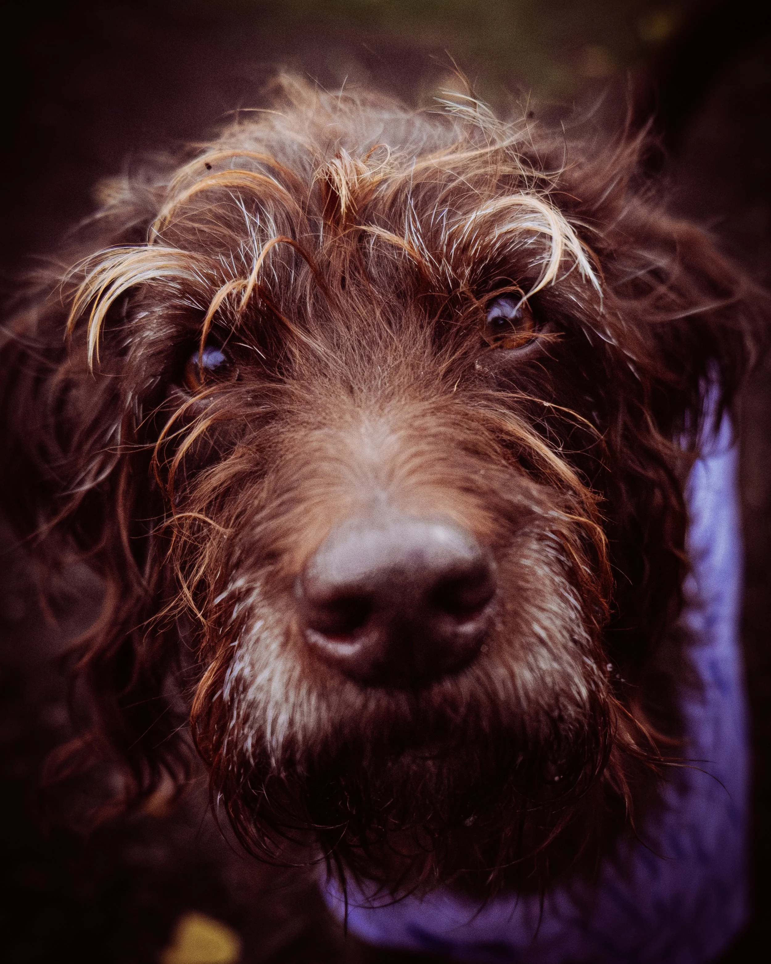 DSCF6270.jpg