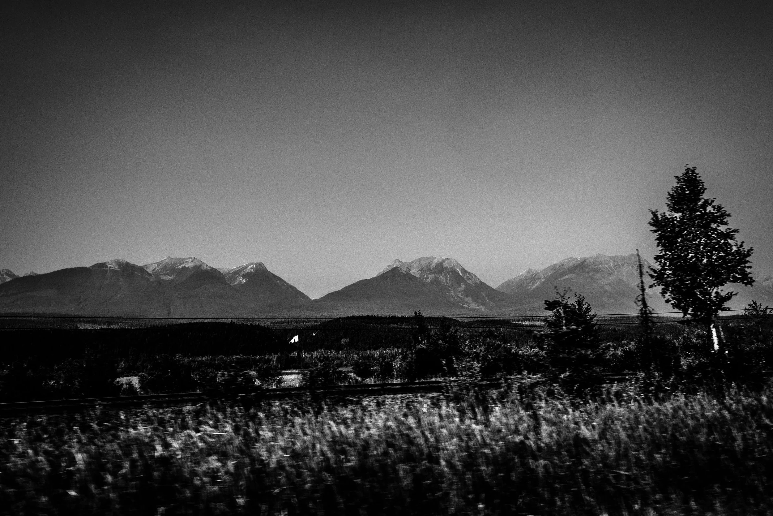 DSC_1102-1.jpg