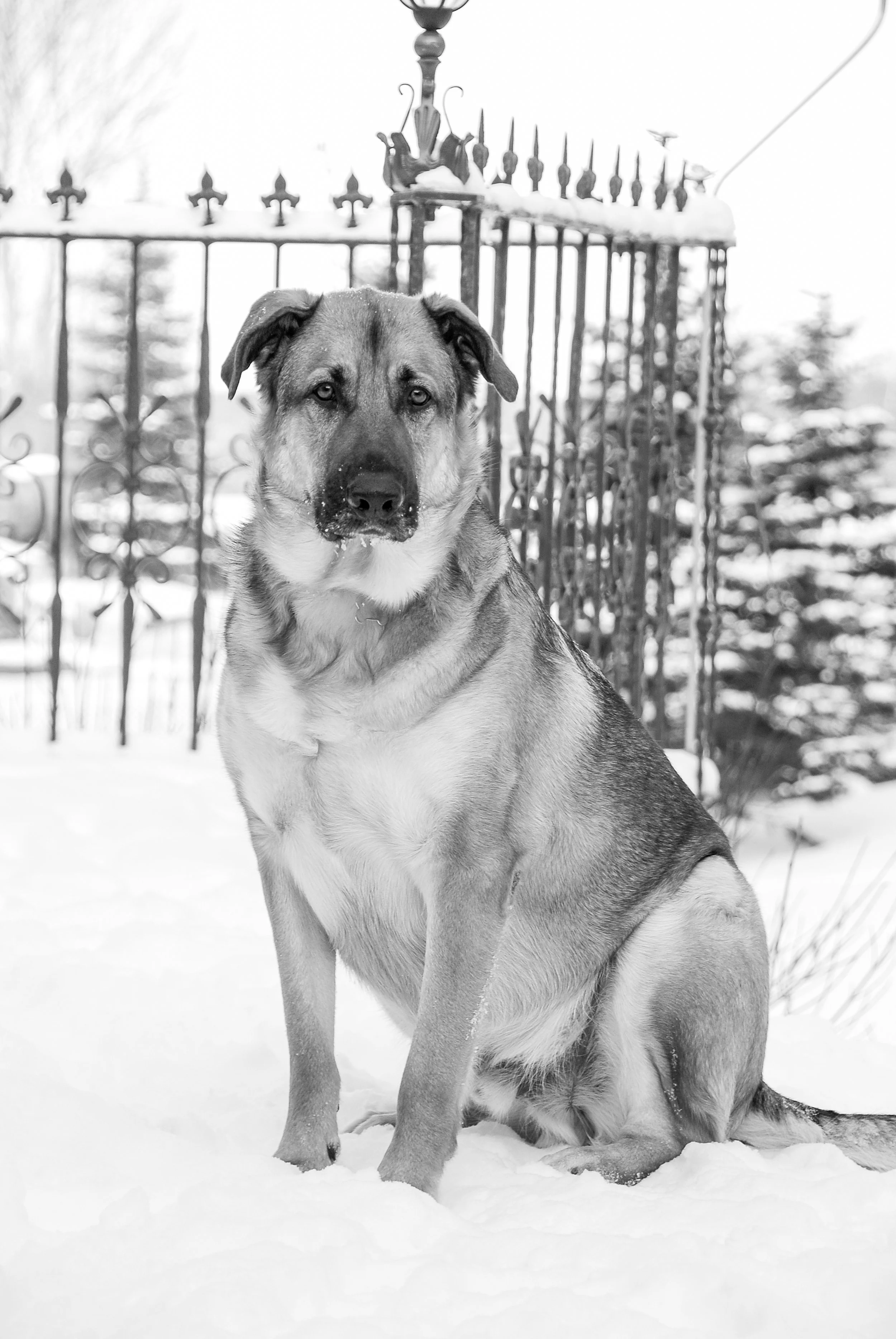 DSC_0388.jpg