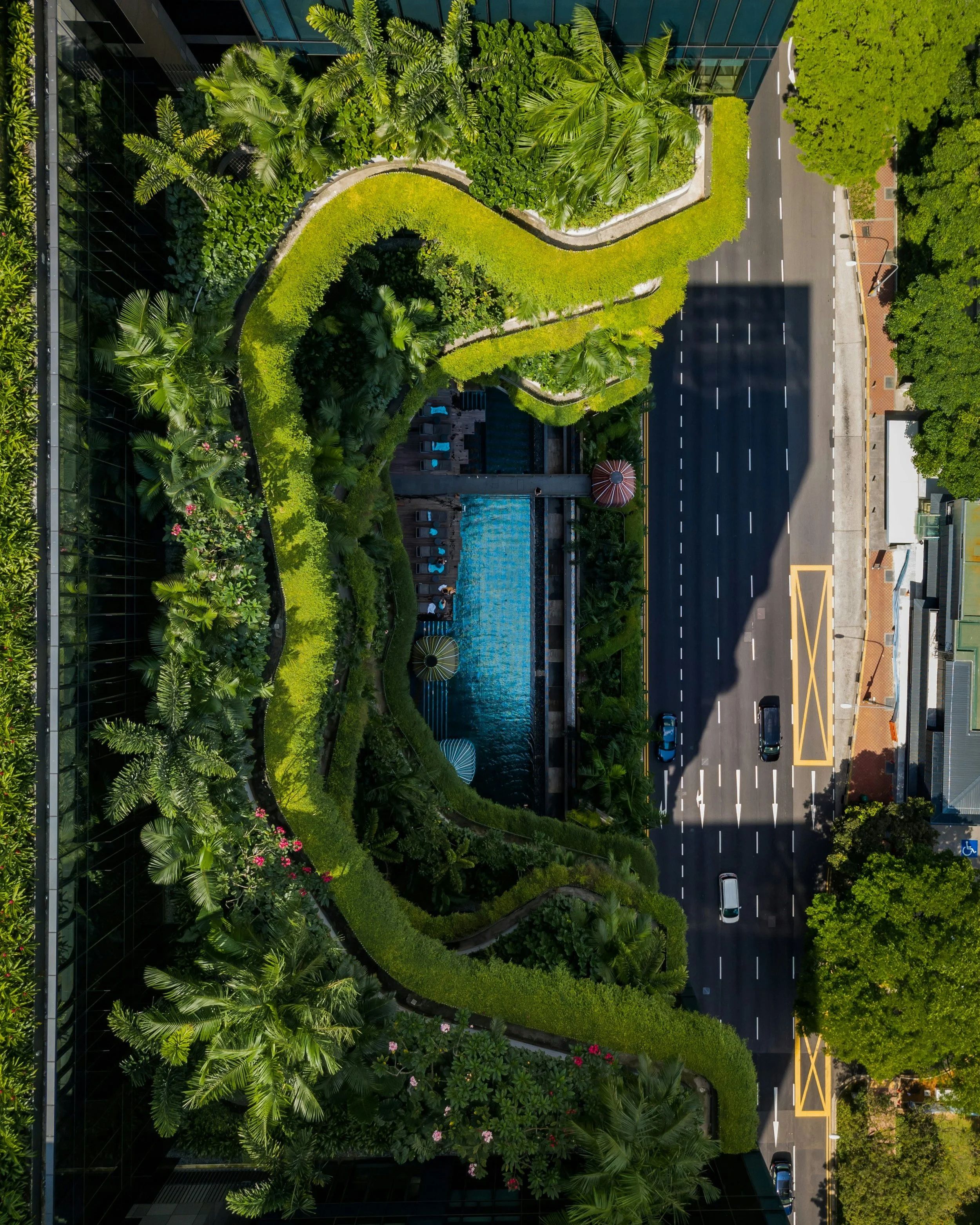 An aerial view of a modern building with a lush rooftop garden, featuring tall palm trees, vibrant green shrubs, and pink flowers, with a street below showing cars and road markings.