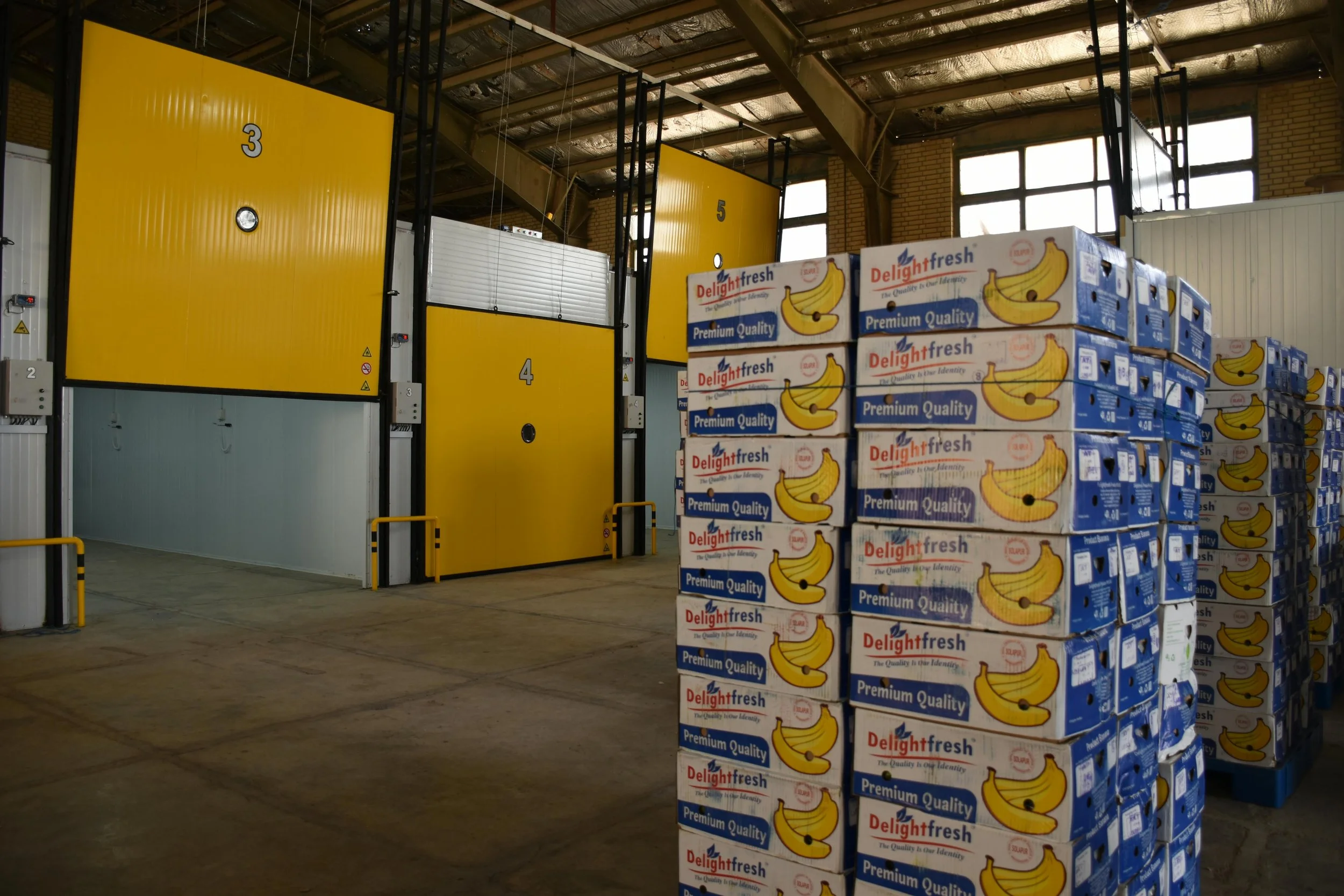 Stacks of banana boxes labeled 'Delight fresh' in a warehouse, with large yellow industrial machines and windows in the background.