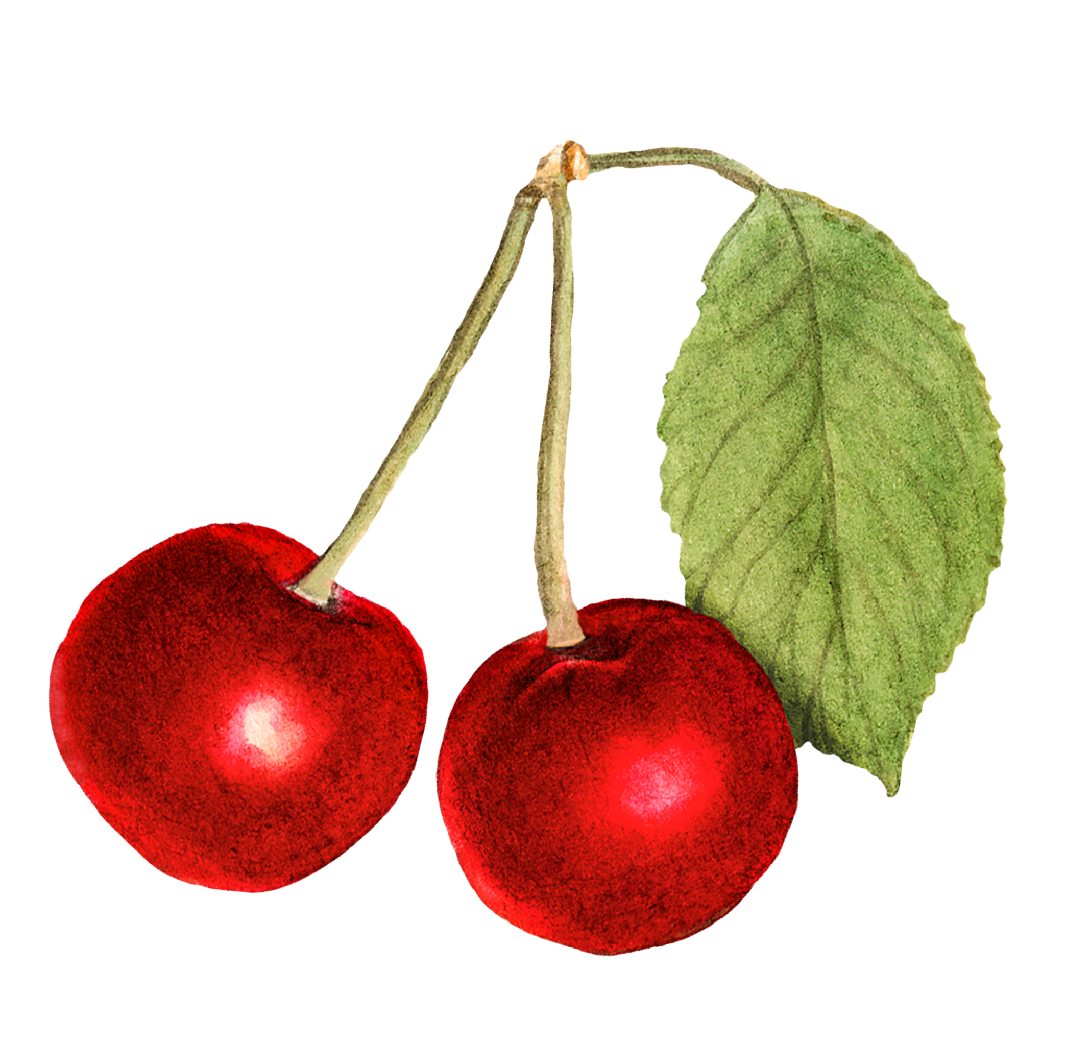 Cherries 1/2.kg