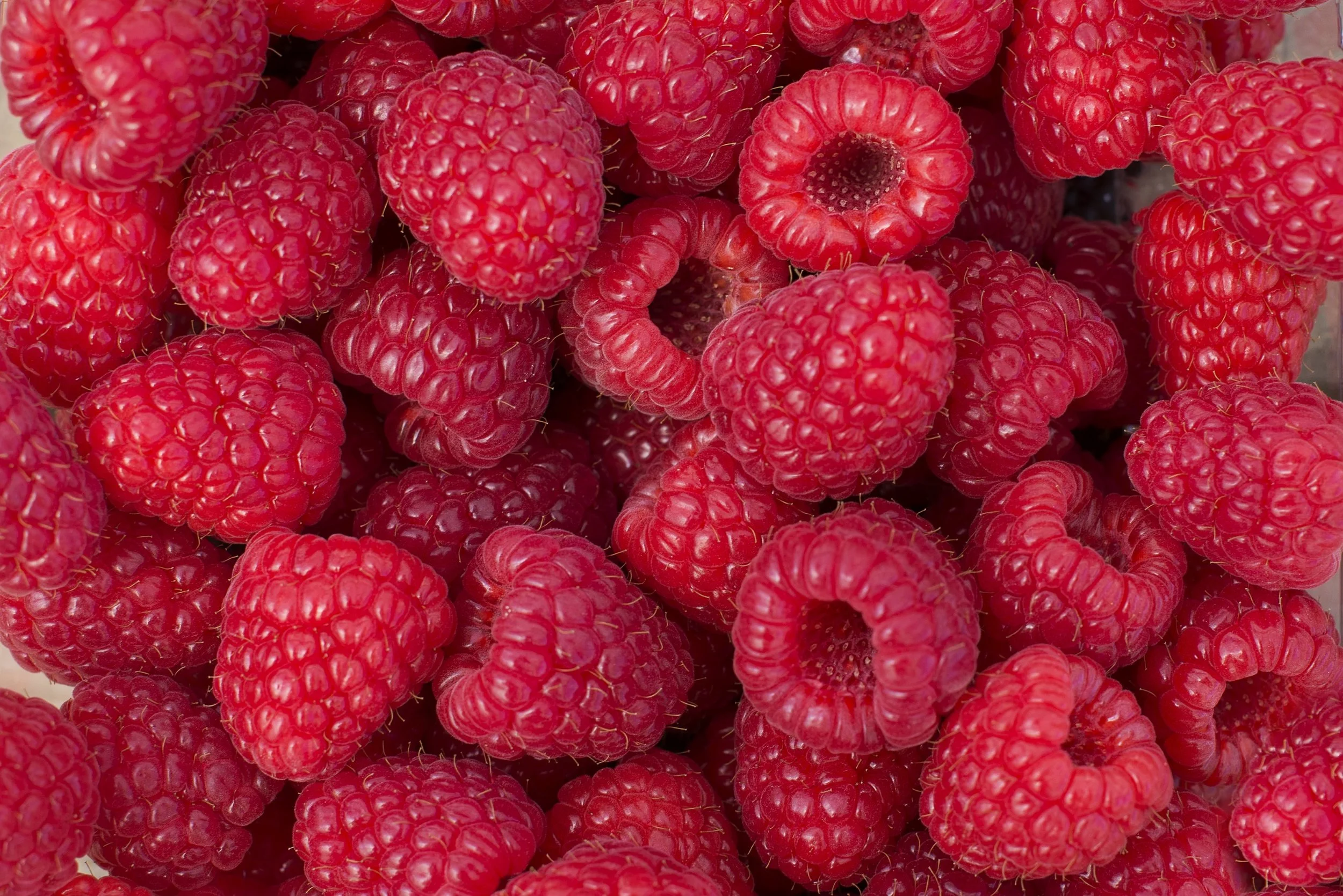 raspberries.jpeg
