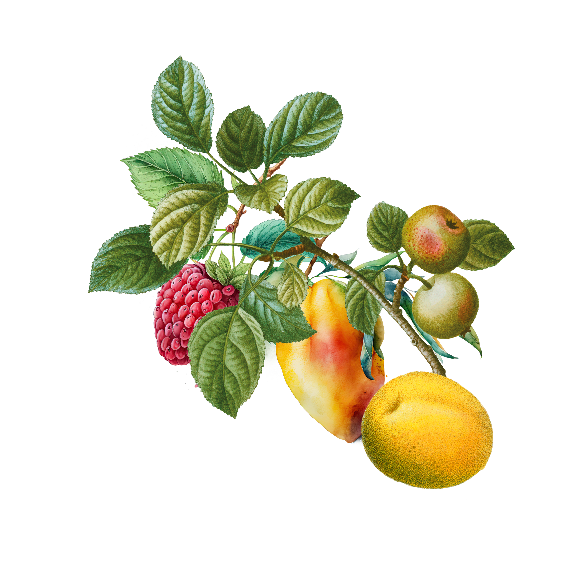 Mixed Fruit Juices