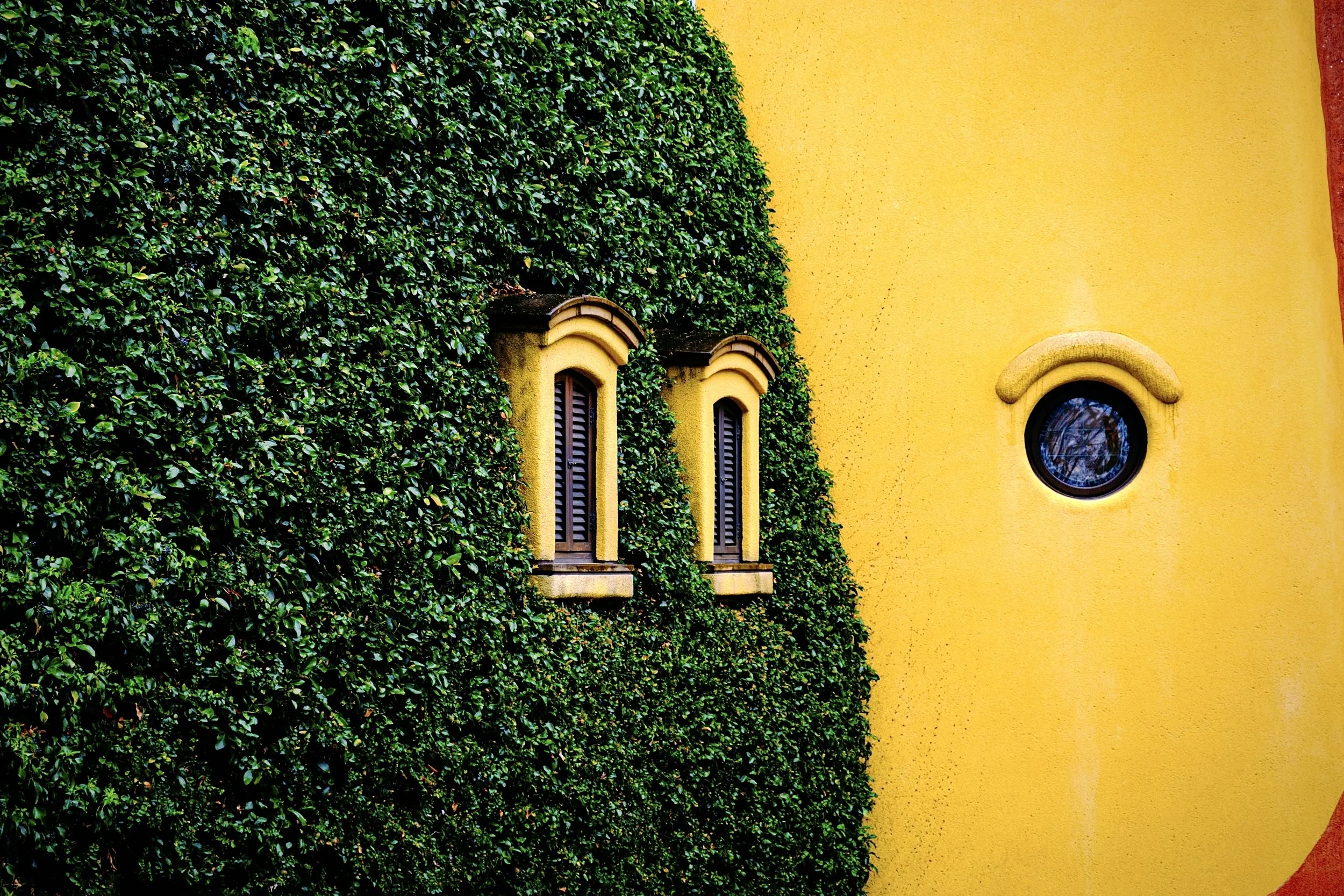 A yellow building wall with a round window and decorative arched window openings, partially covered by green foliage.