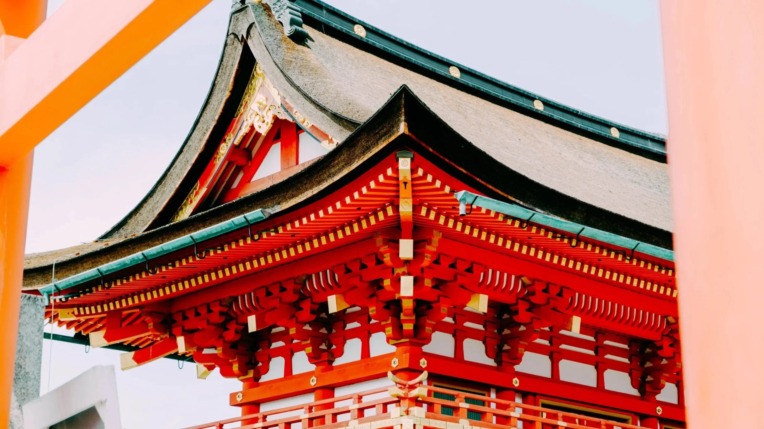 Close-up photo of a traditional Japanese shrine roof with vibrant red and gold painted wooden details, curved eaves, and a thatched roof on a clear sky background.