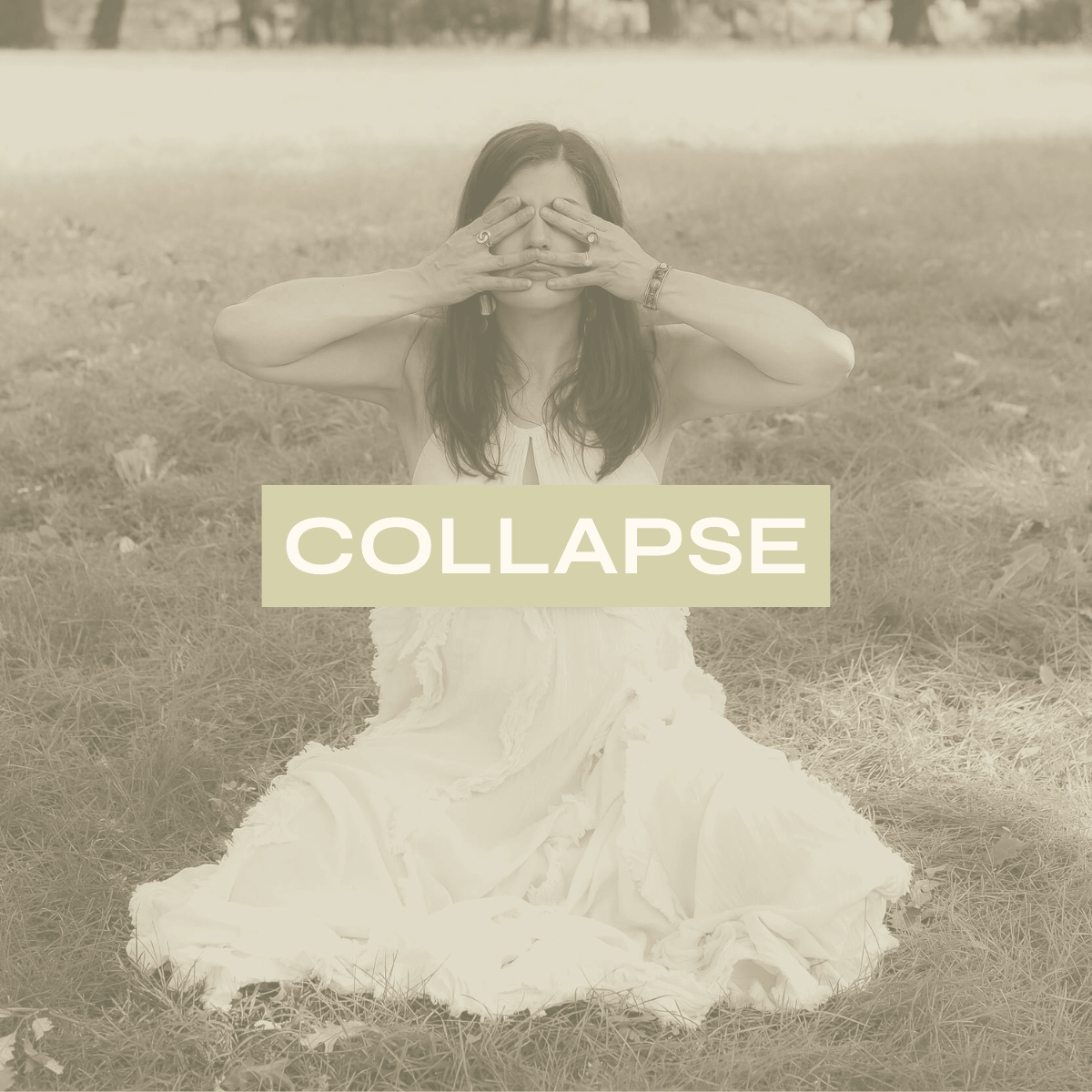 A Reckoning with the Reality of Collapse