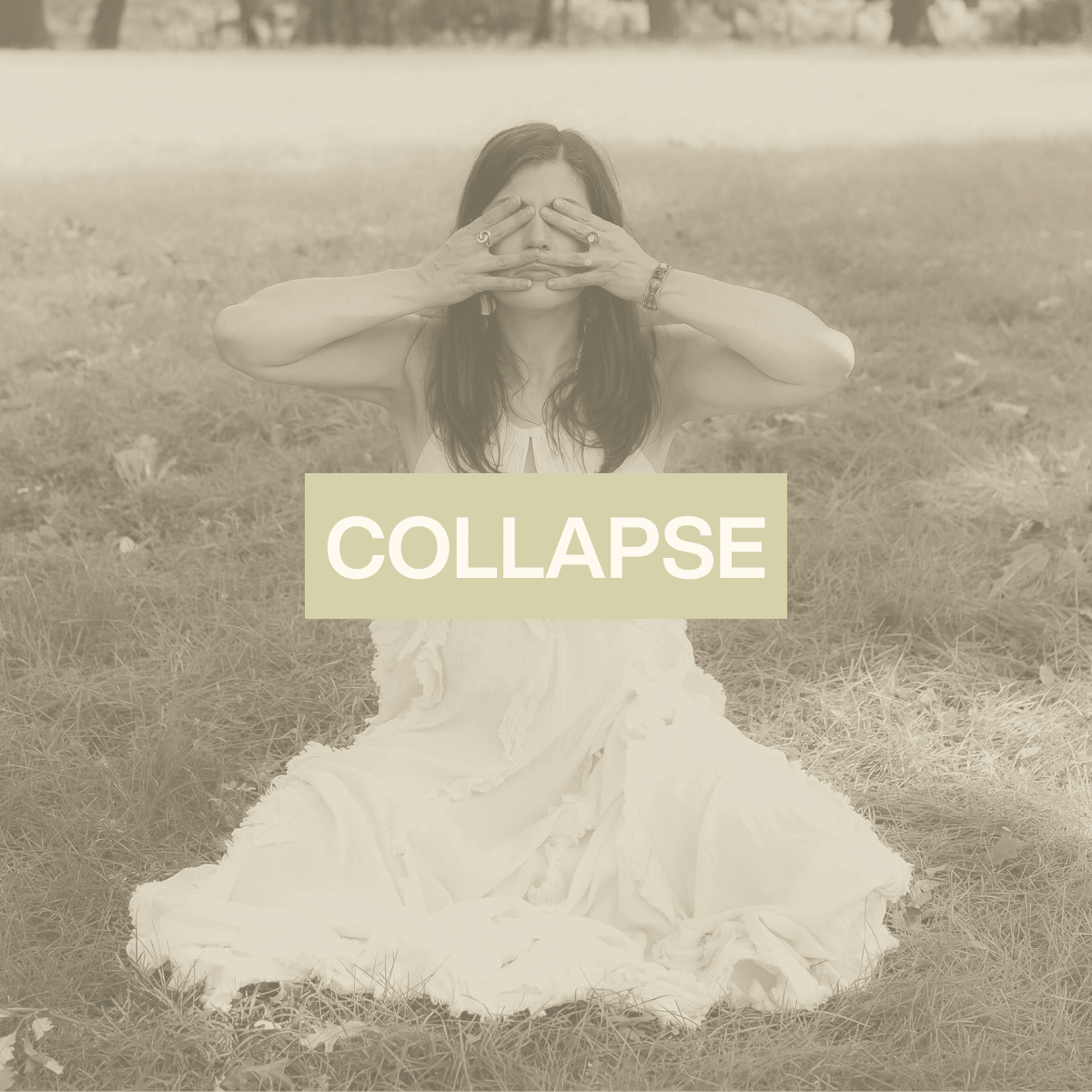 A Reckoning with the Reality of Collapse
