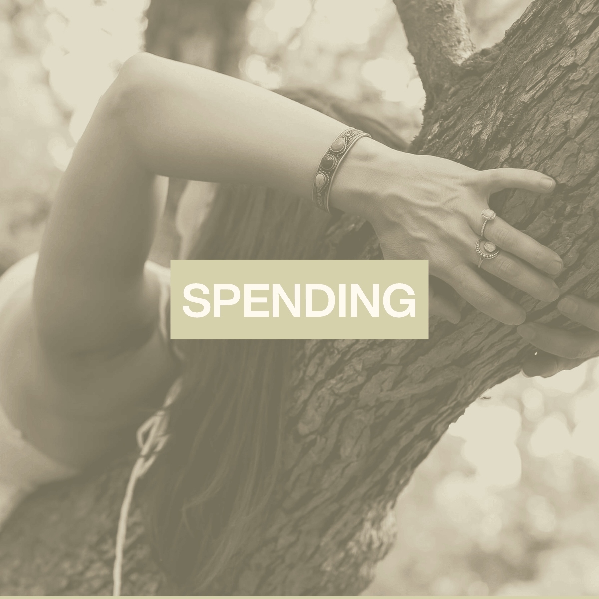 The Spending Experiment