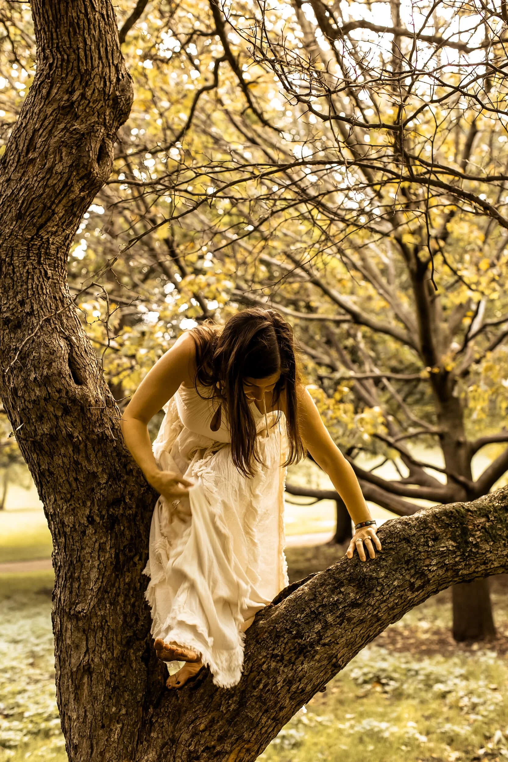 Kristi Amdahl climbing a tree while wearing an earth goddess dress (2 of 2)