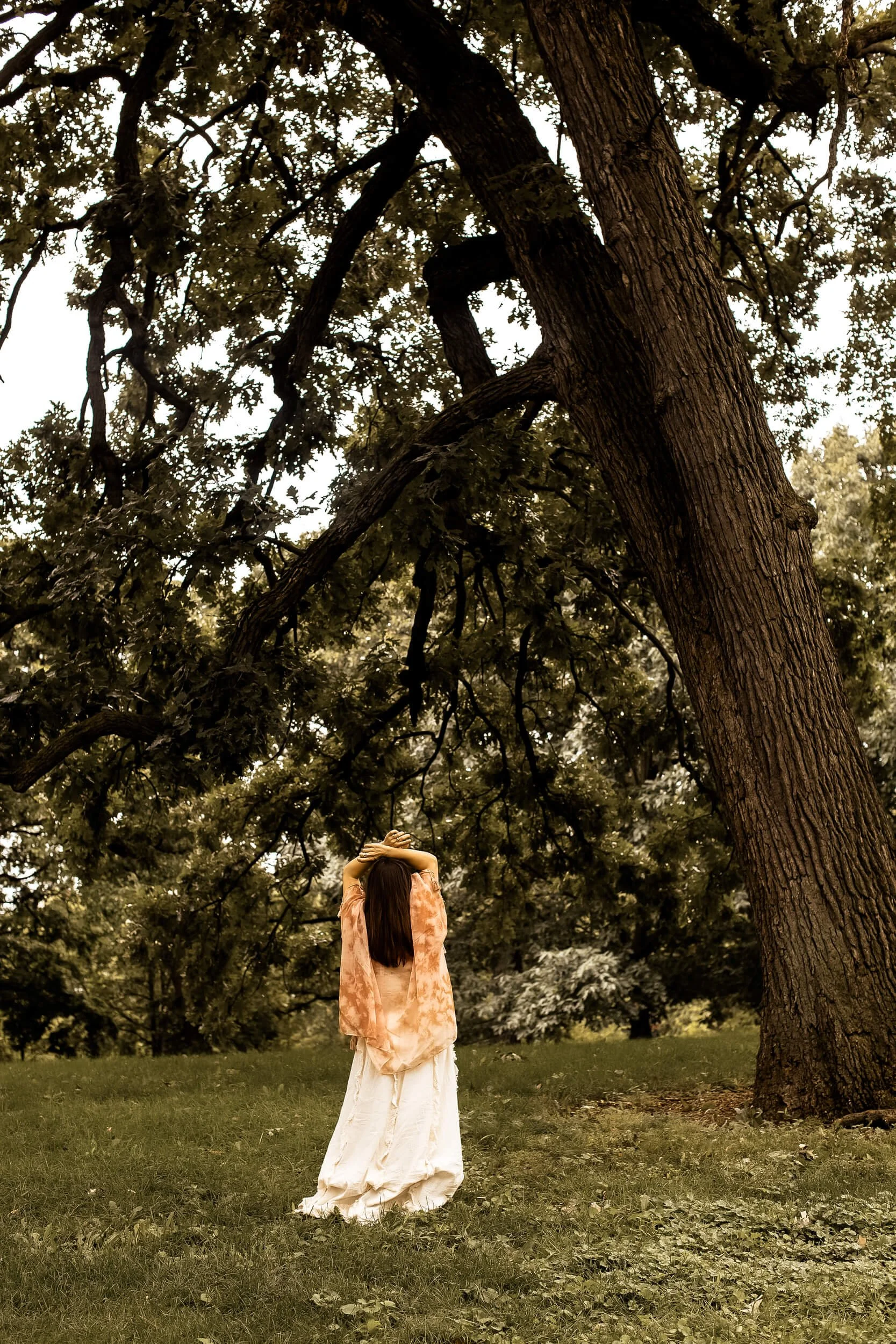 Kristi looking up at a large oak tree
