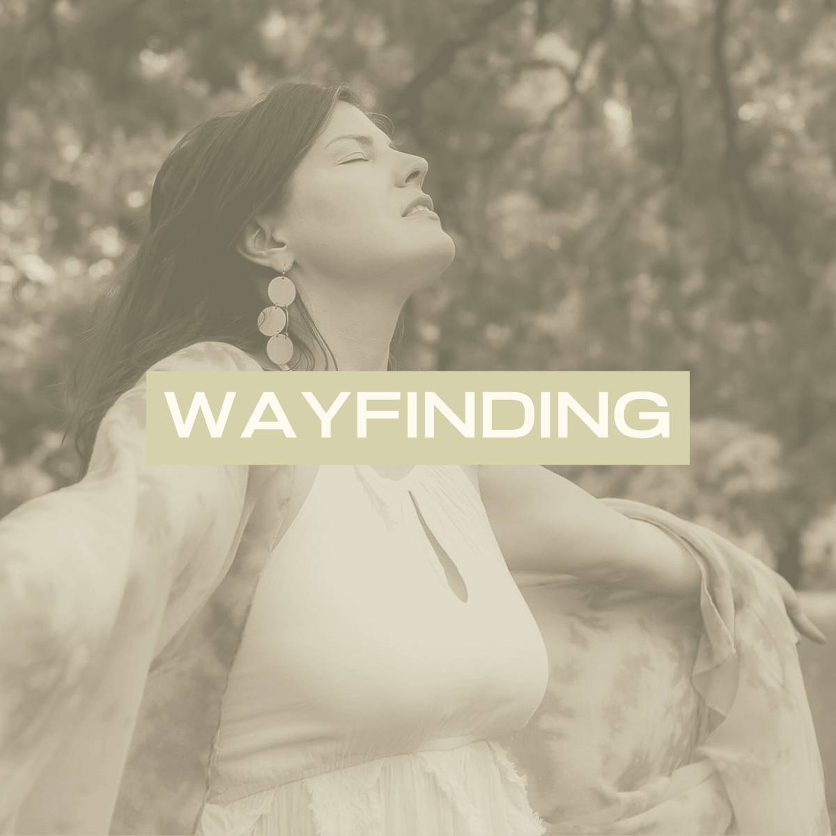 wayfinding 1200 x 1200 .png