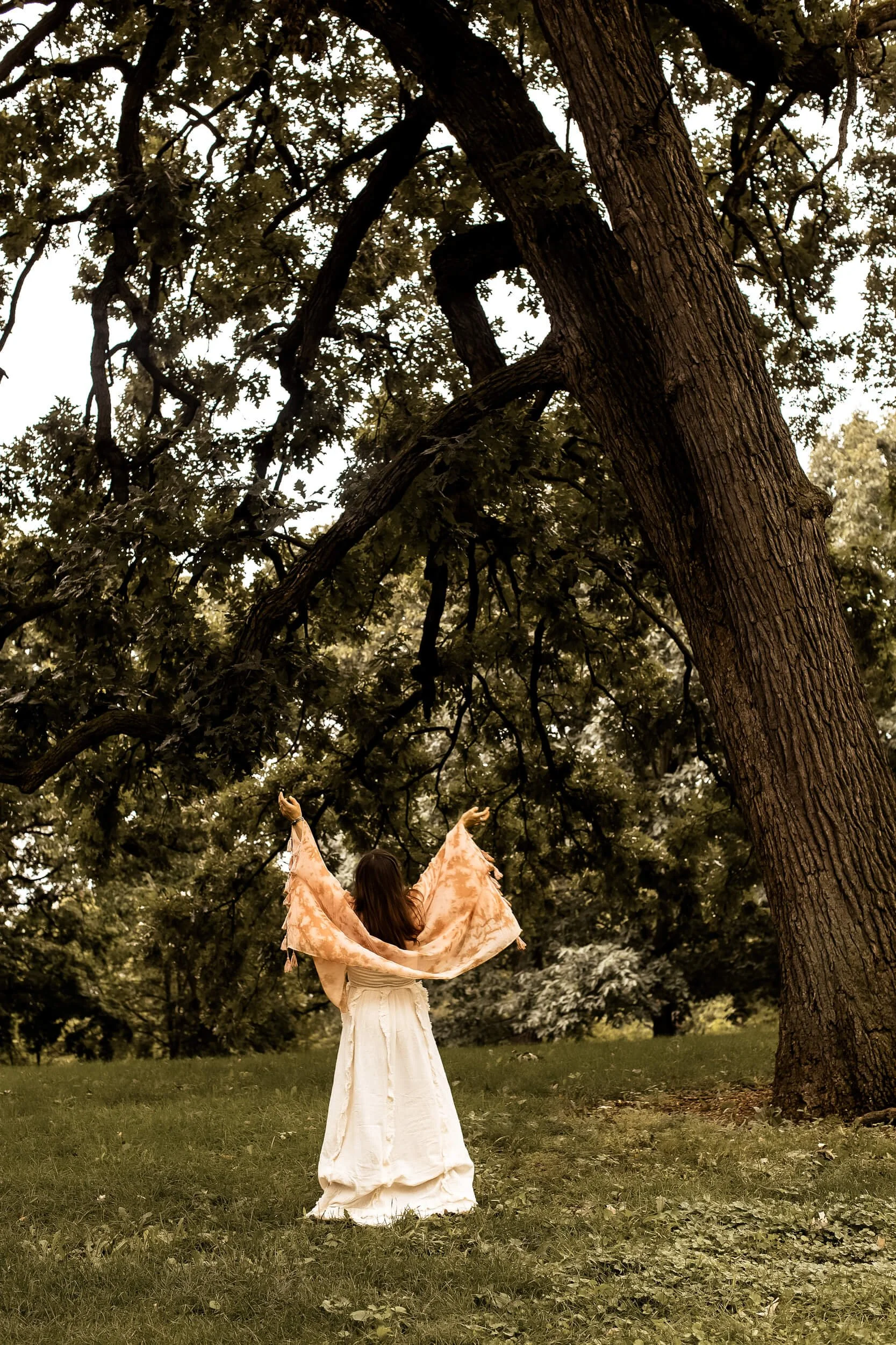 Kristi Amdahl raising her arms up towards the oak tree's crown