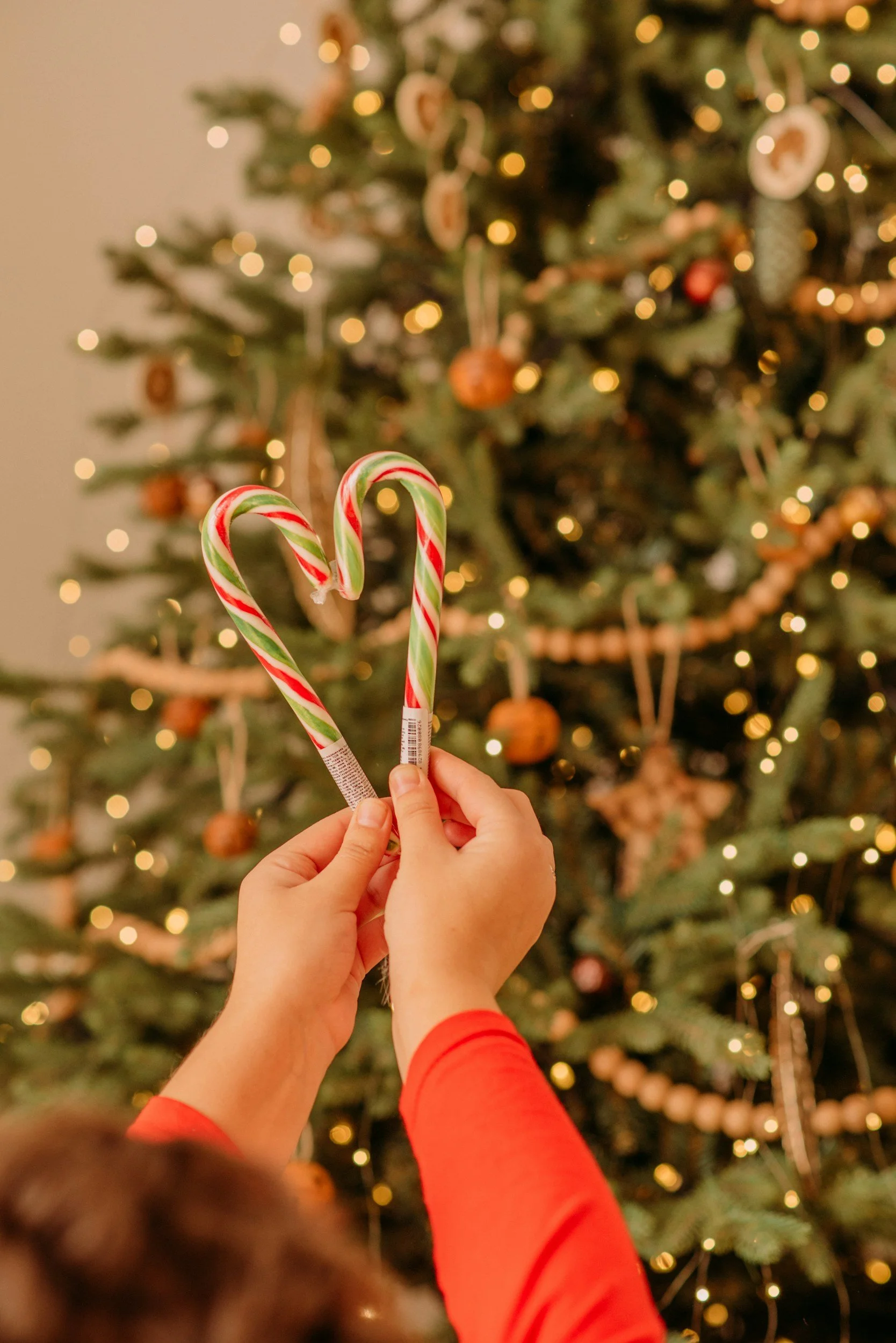 Christmas Symbols: What Do They Mean?