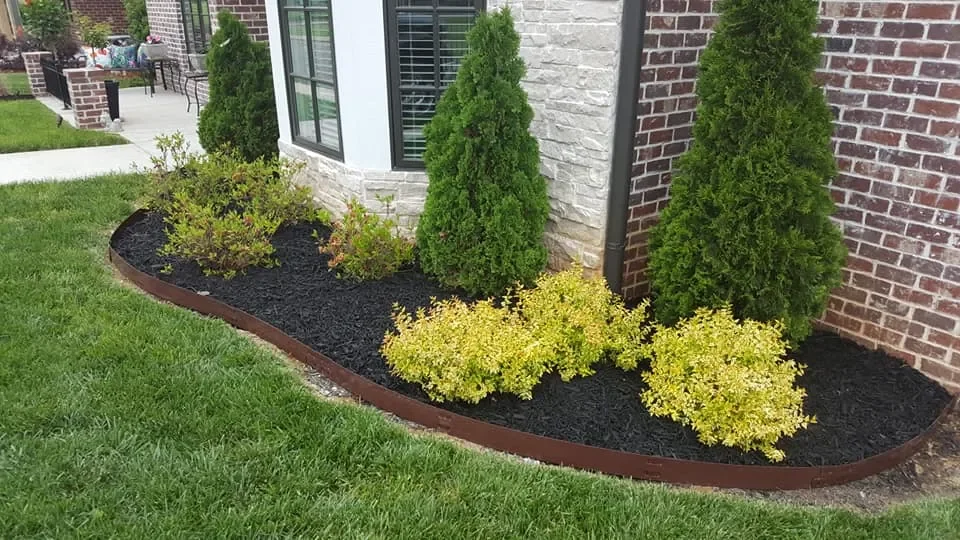 WEED REMOVAL AND MAINTENANCE