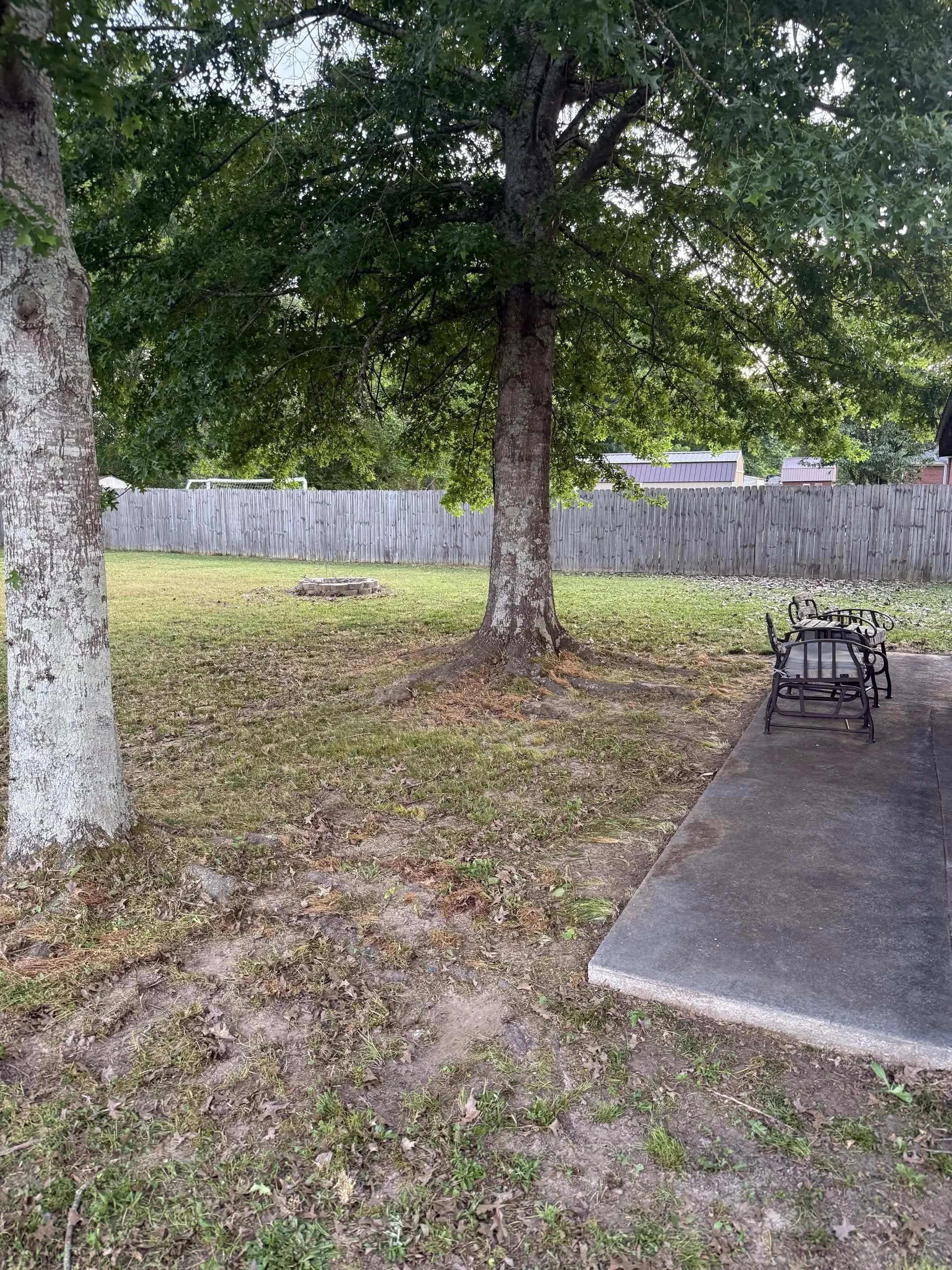 A backyard scene with a large tree, a wooden fence, a grassy area, a fire pit, and outdoor chairs on a concrete patio.