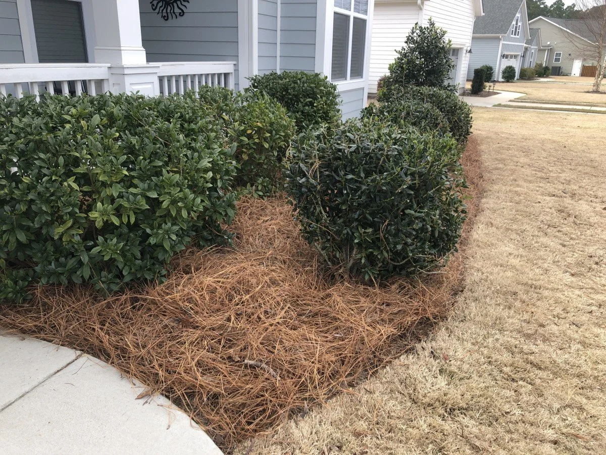 PINE STRAW INSTALLATION OR REFRESH