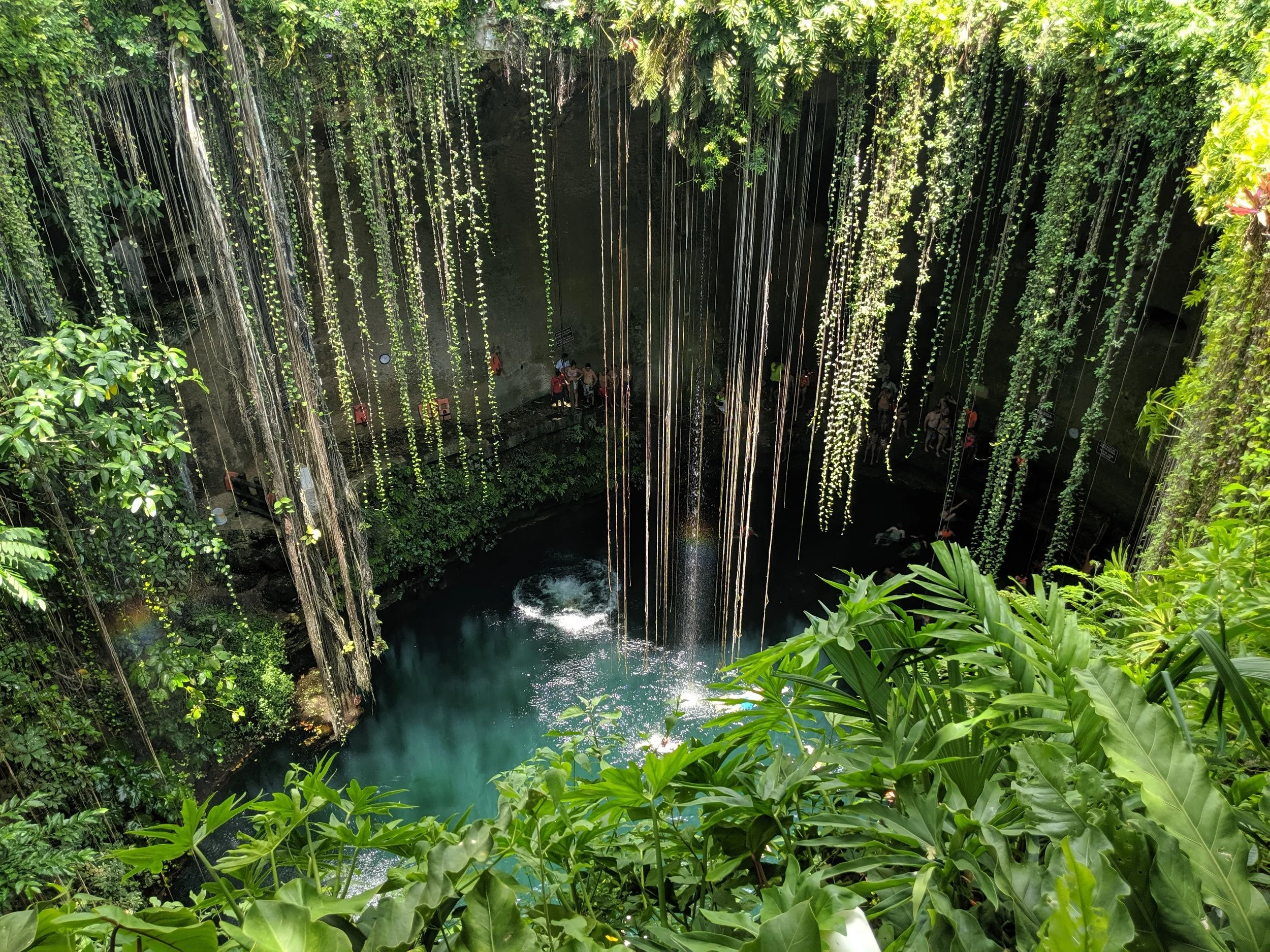 Catarata en una cueva rodeada de vegetación tropical exuberante.