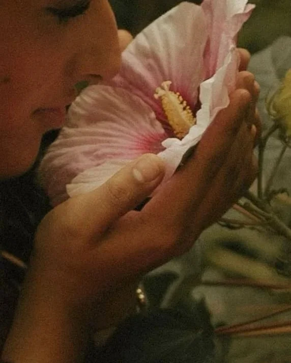 acupuncture treatments on the sunshine coast women's health holistic chinese medicine
