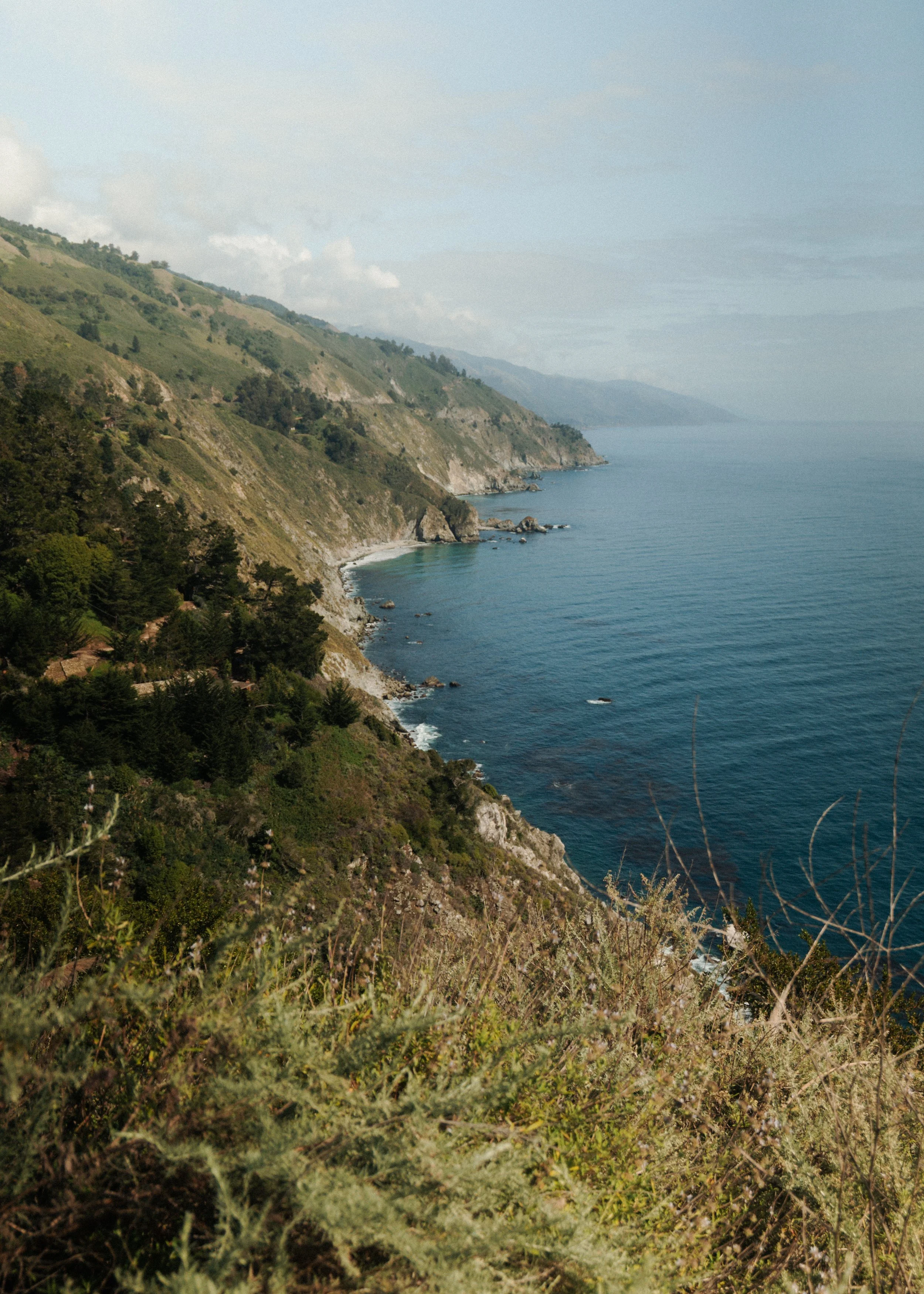 Big Sur-3.jpg