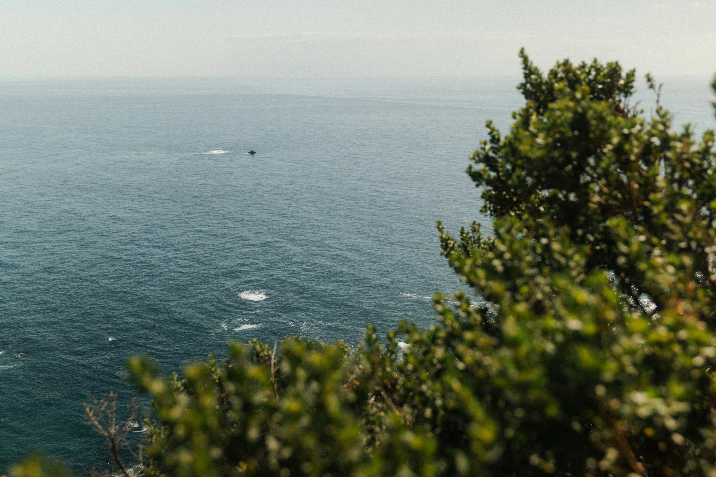 Big Sur-4.jpg