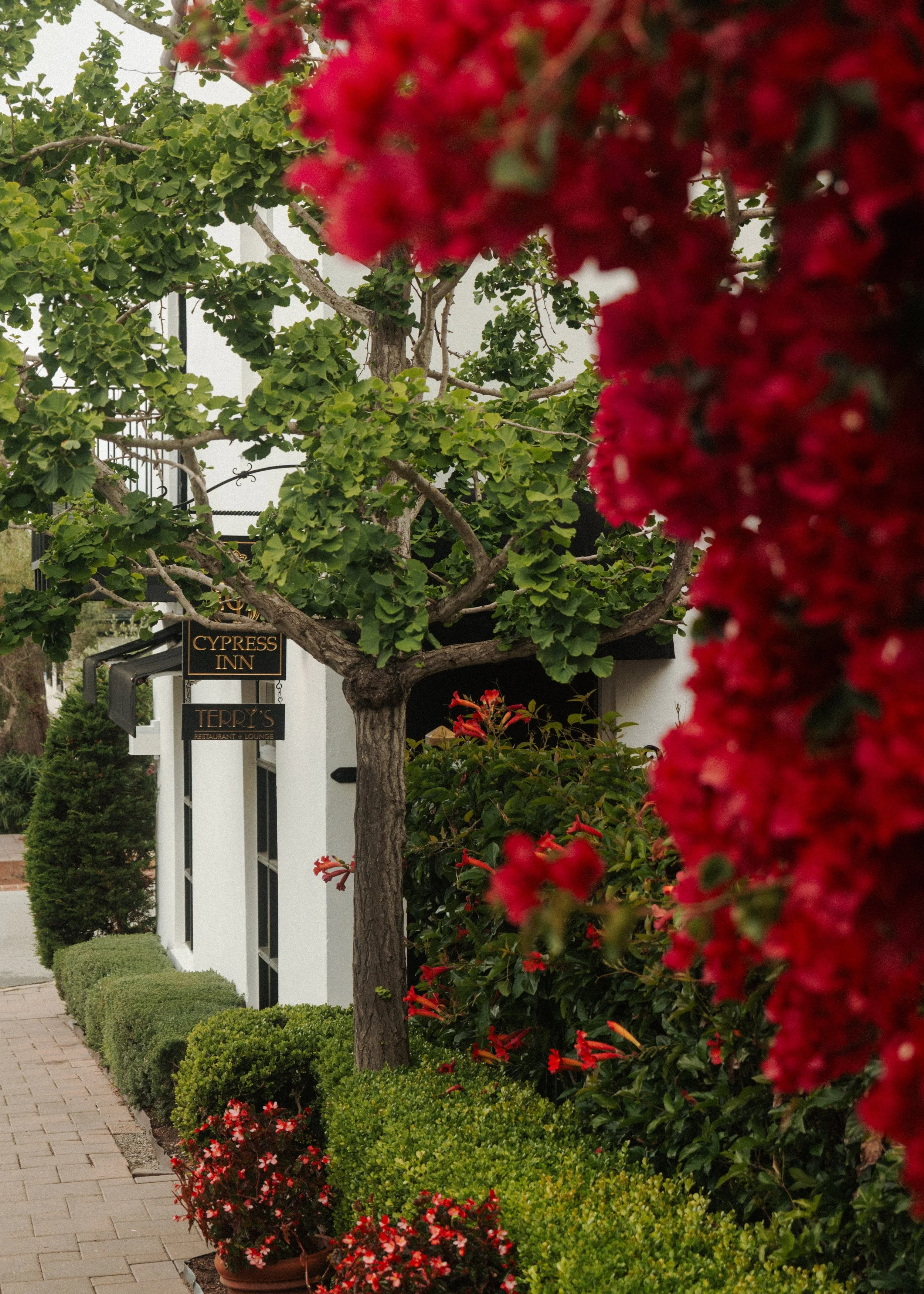 Carmel-by-the-Sea-2.jpg