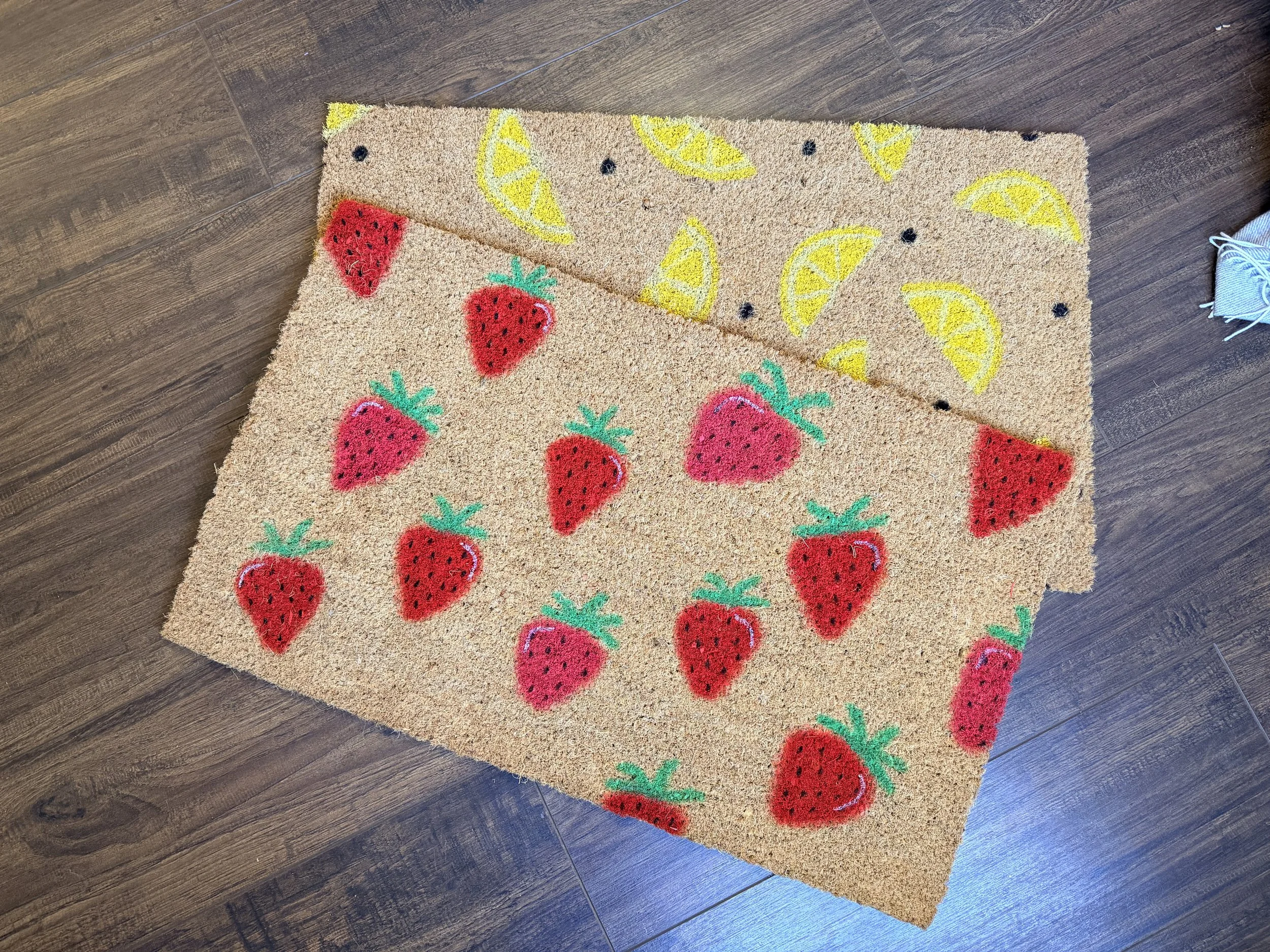 Hand Painted Doormat