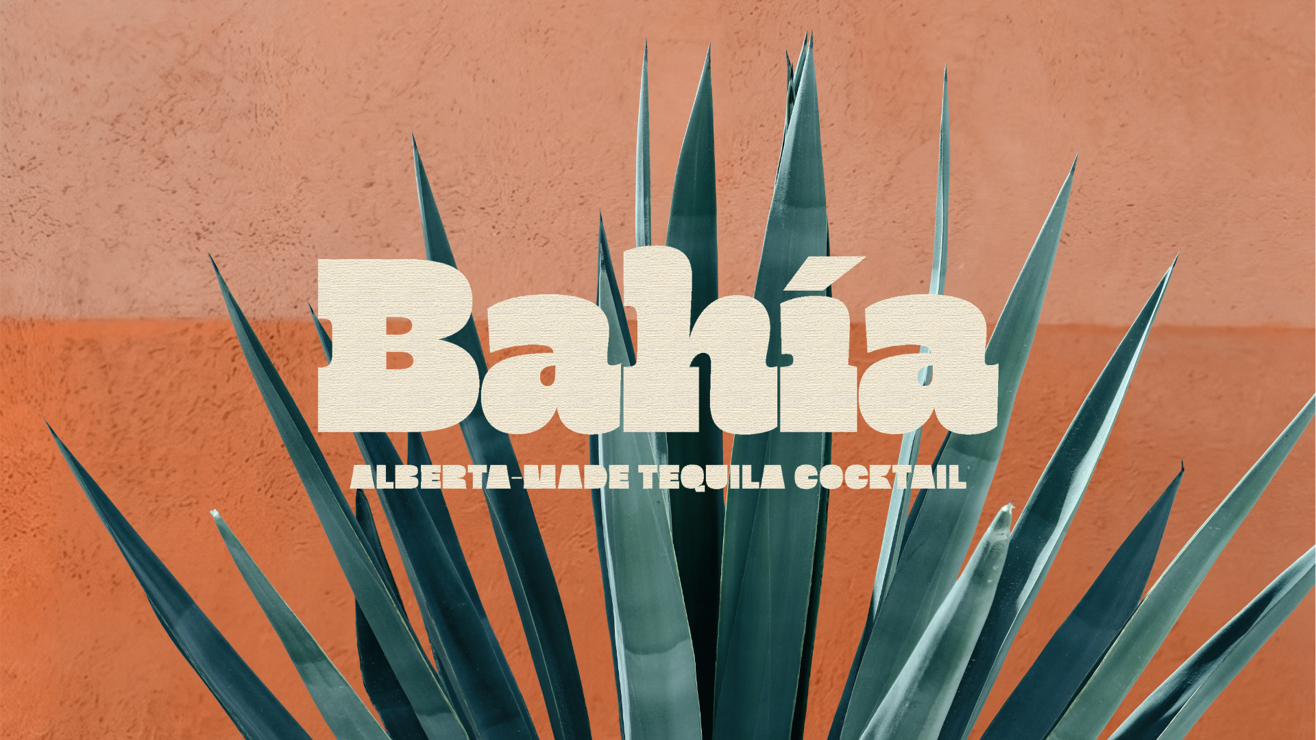 »Bahía« Tequila Cocktails Branding