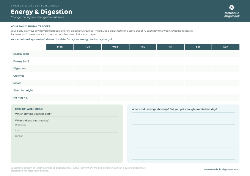 Energy + Digestion