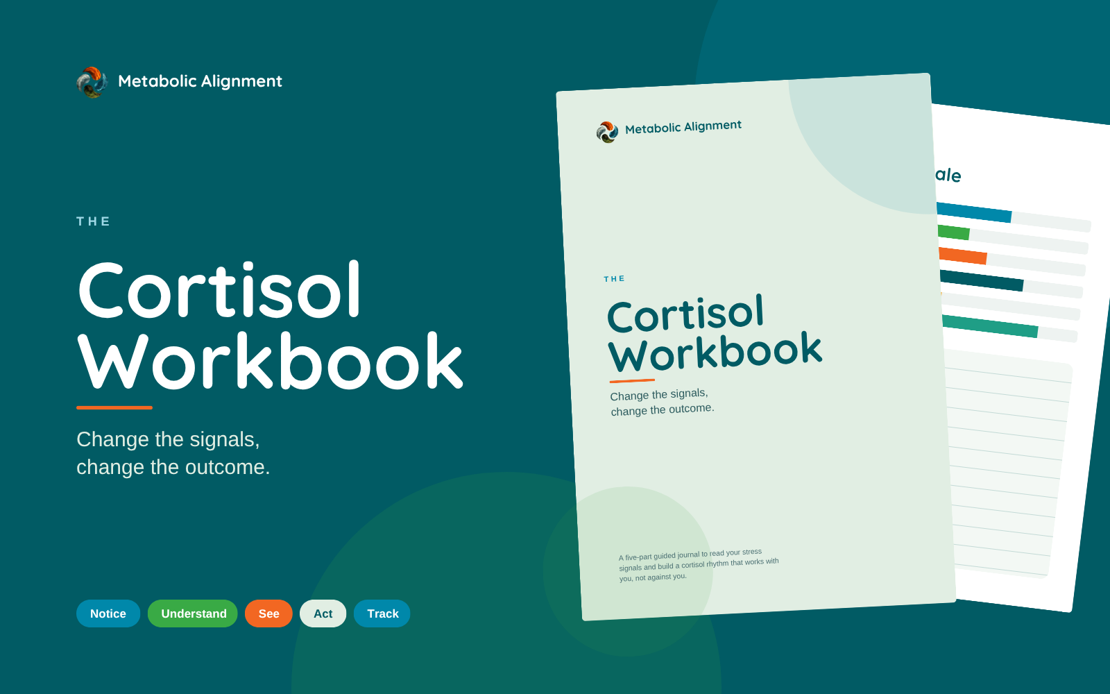 Cortisol Workbook