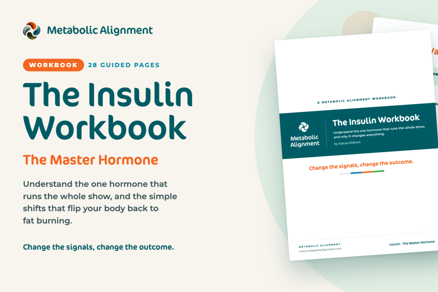 Insulin_Workbook_Website_Cover.png