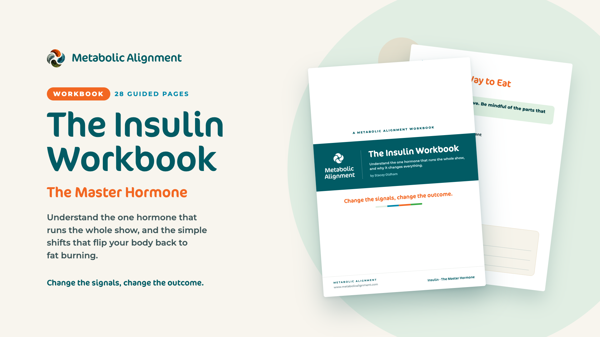 Insulin Workbook