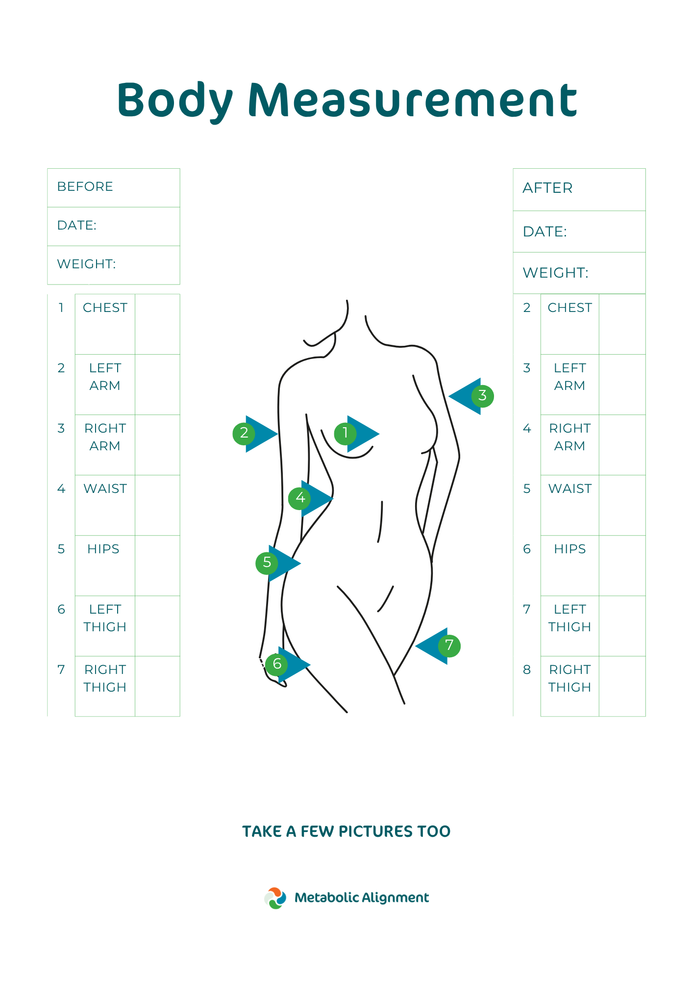 Body Measurements