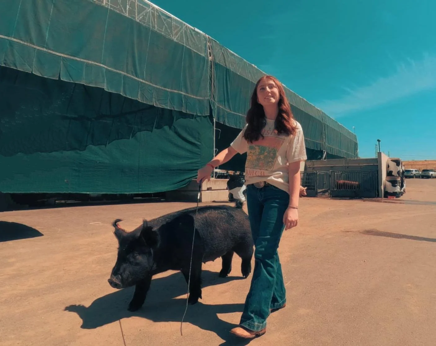 Karli County Fair 1.jpg