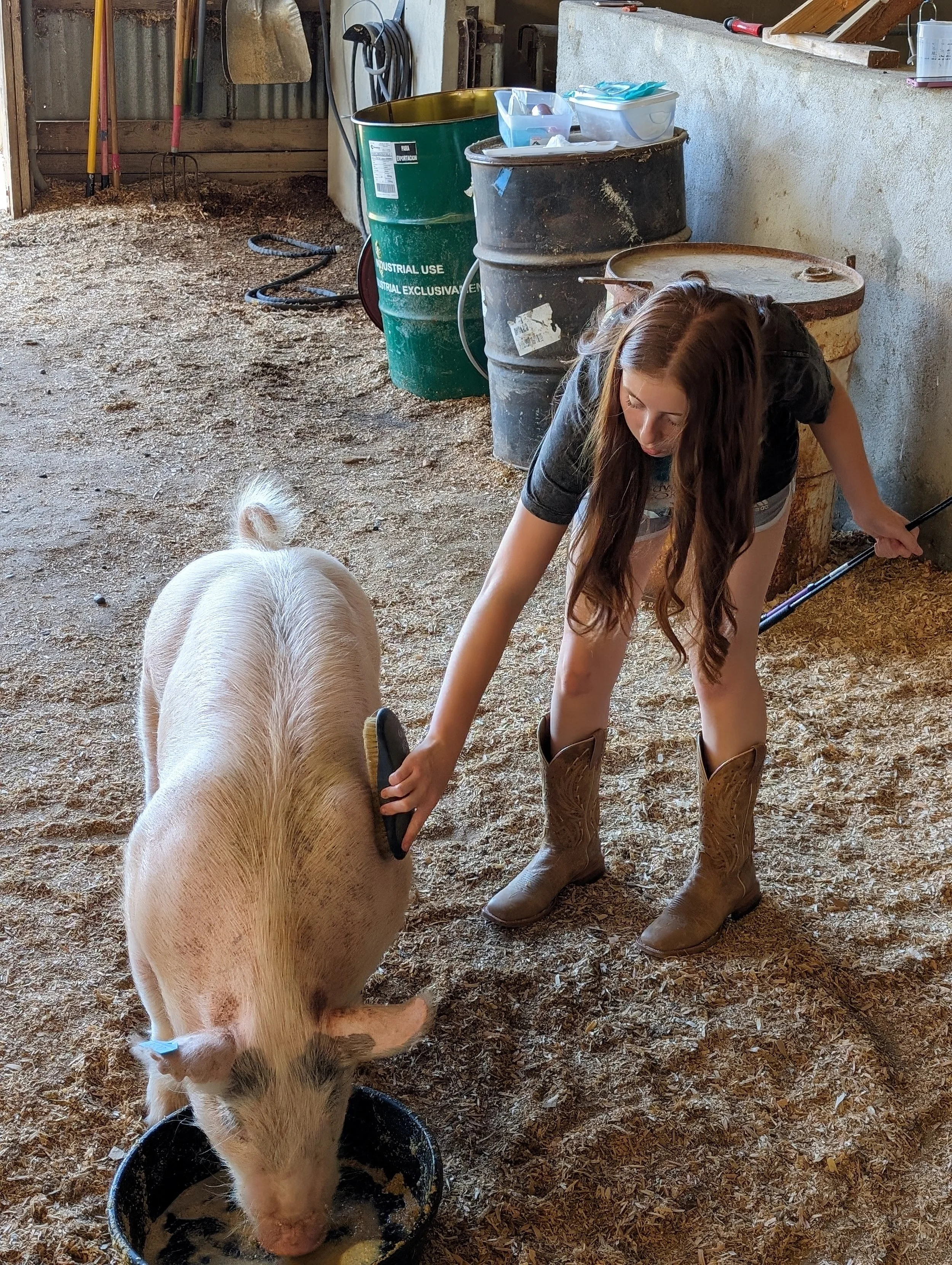 Karli County Fair 13.jpg