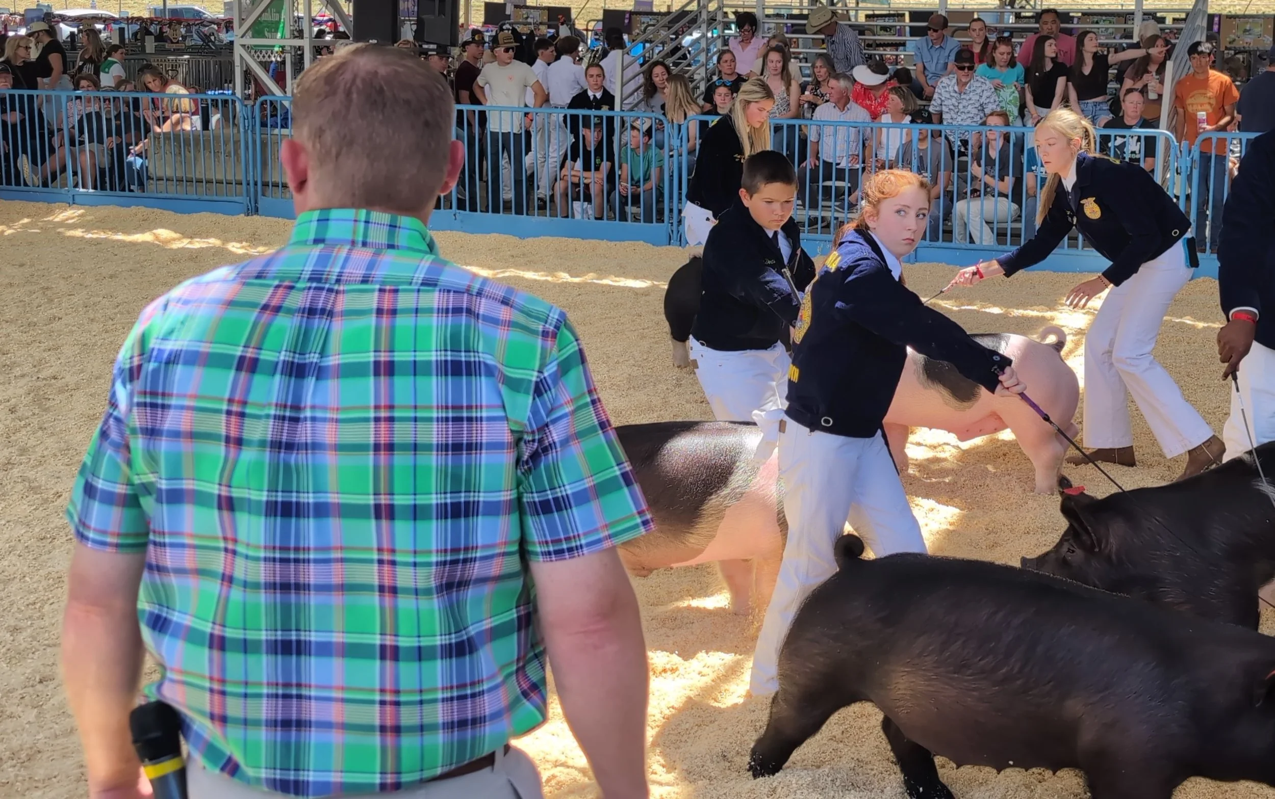 Karli County Fair 3.jpg