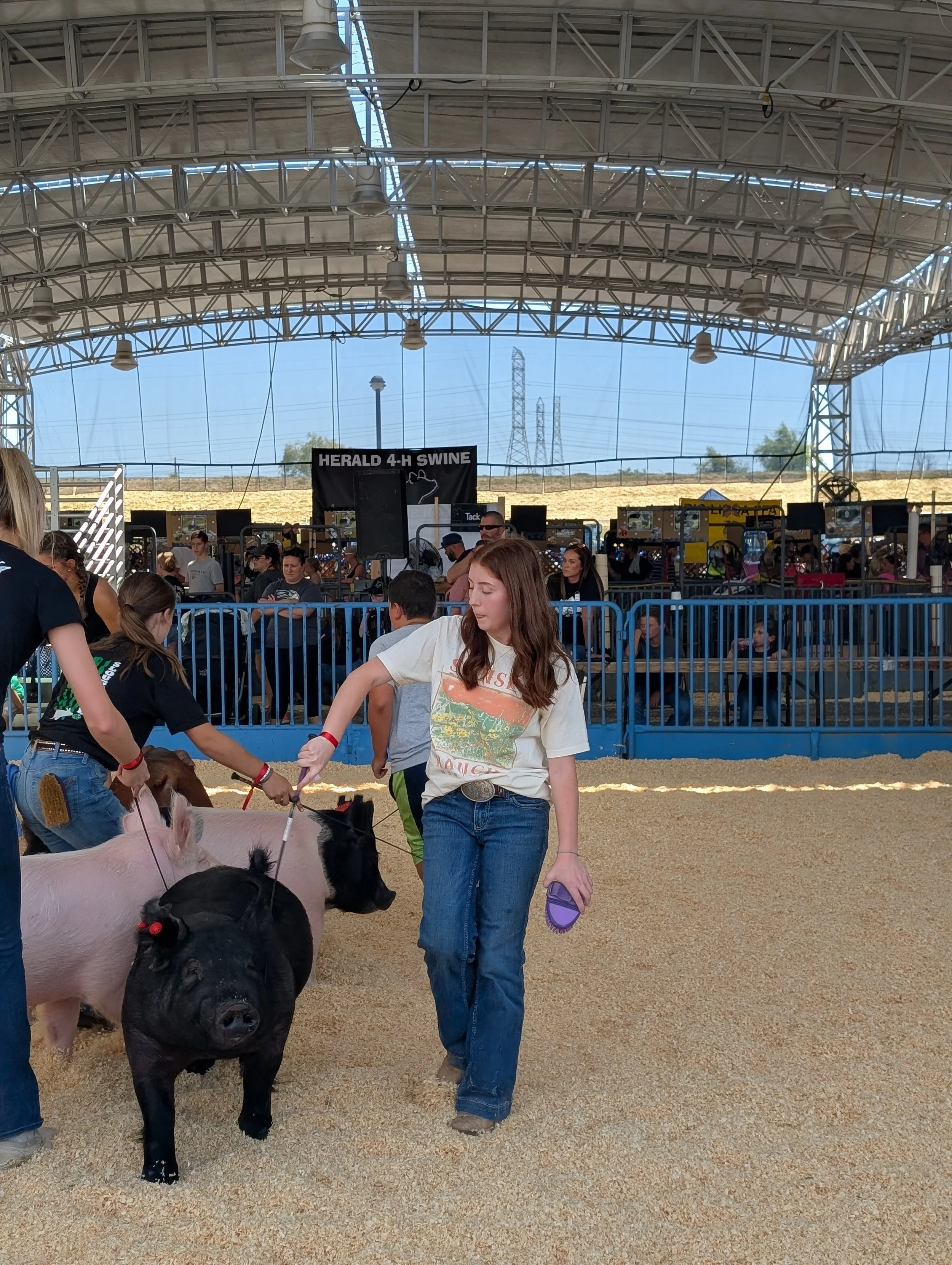 Karli County Fair 5.jpg