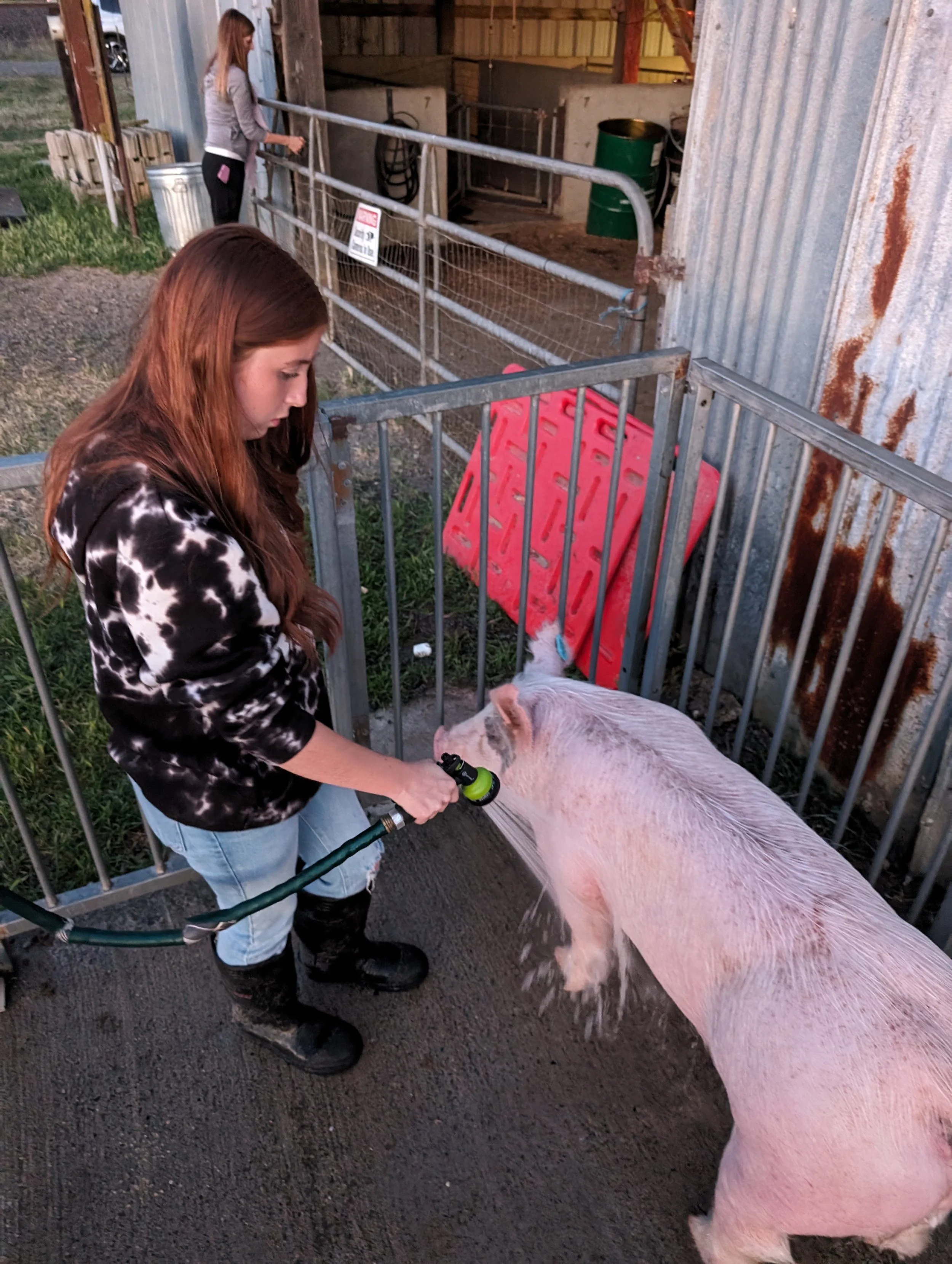 Karli County Fair 12.jpg