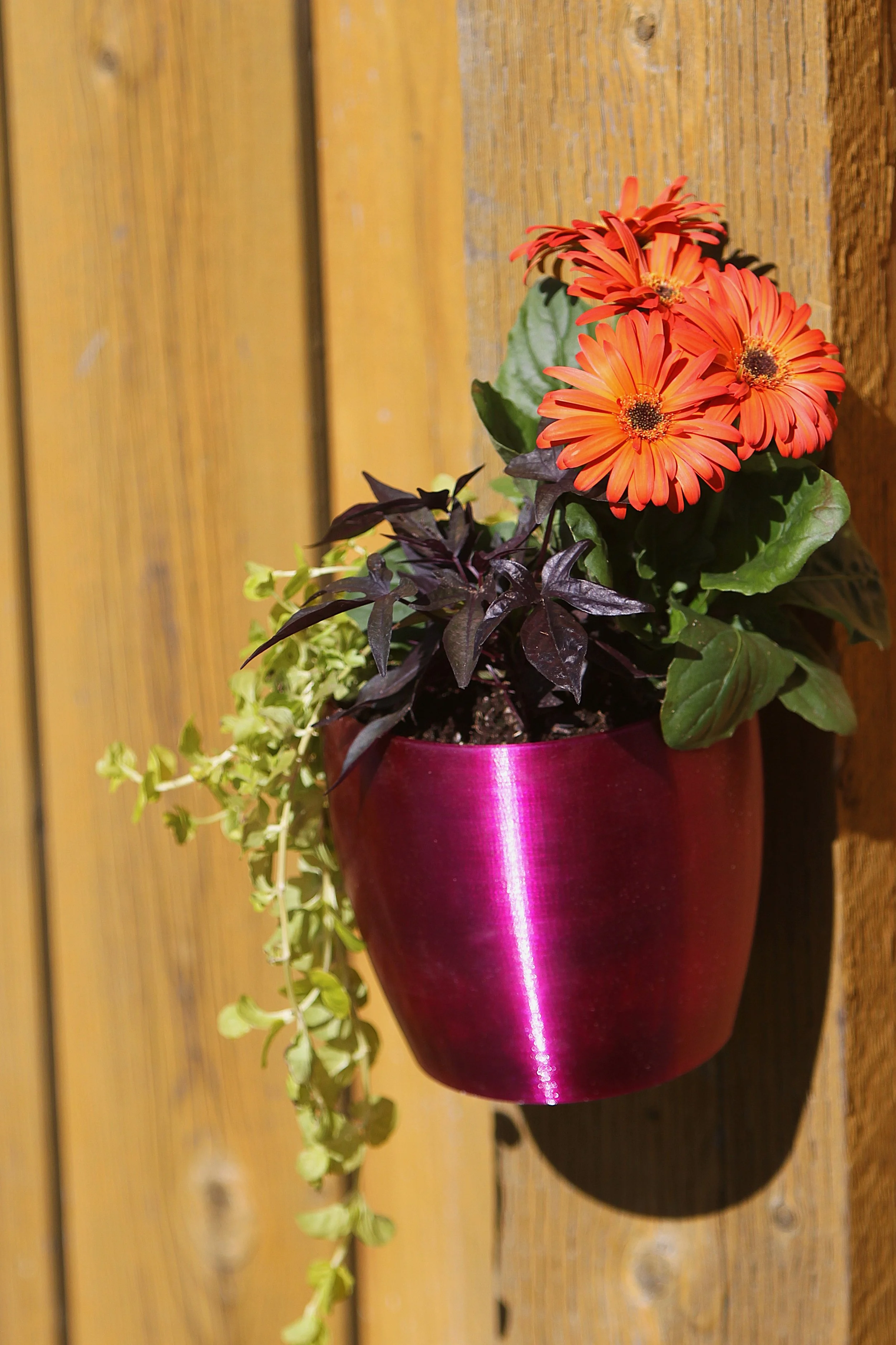 Wall Planter, Magenta.JPG