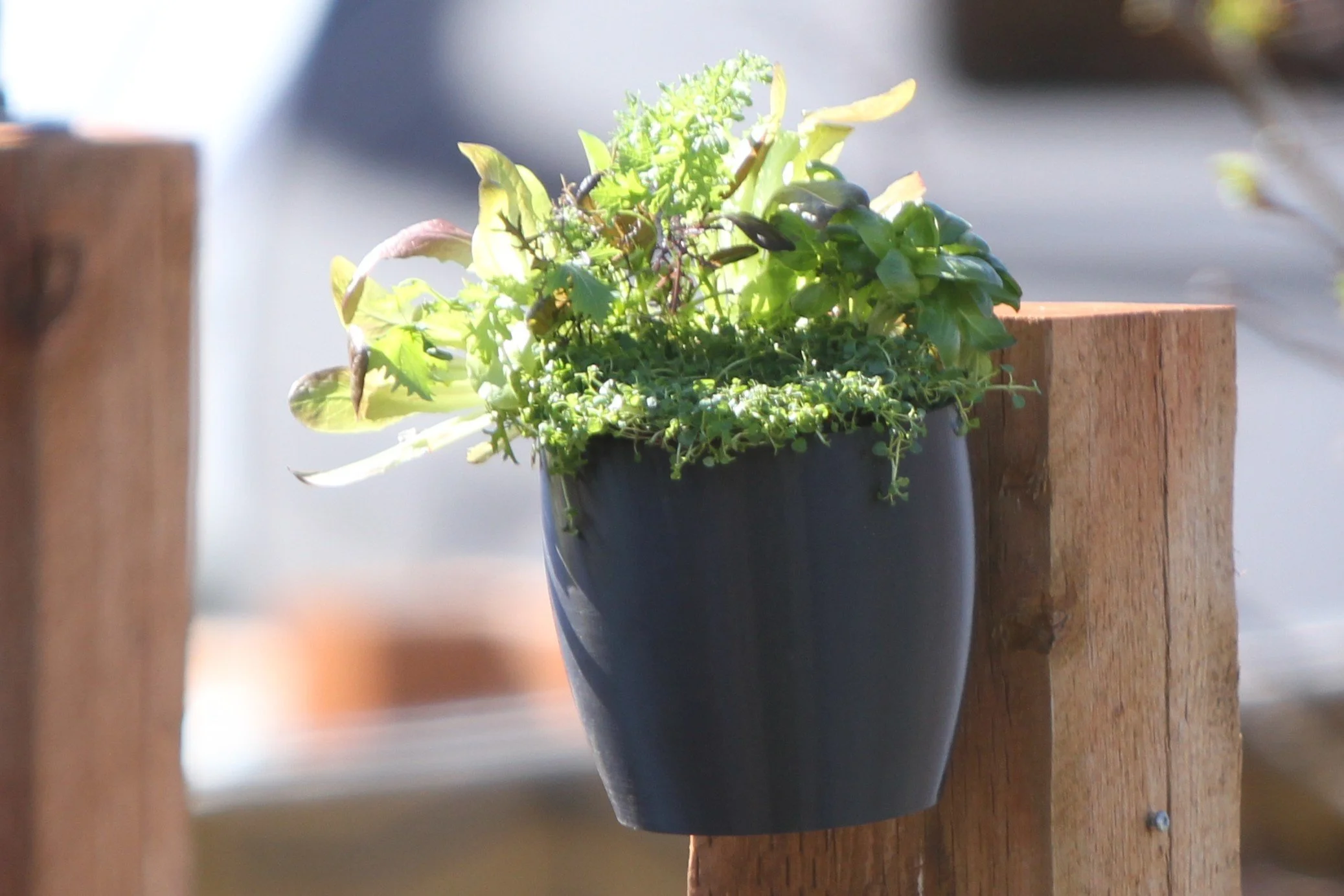 Wall Planter, Recycled.JPG