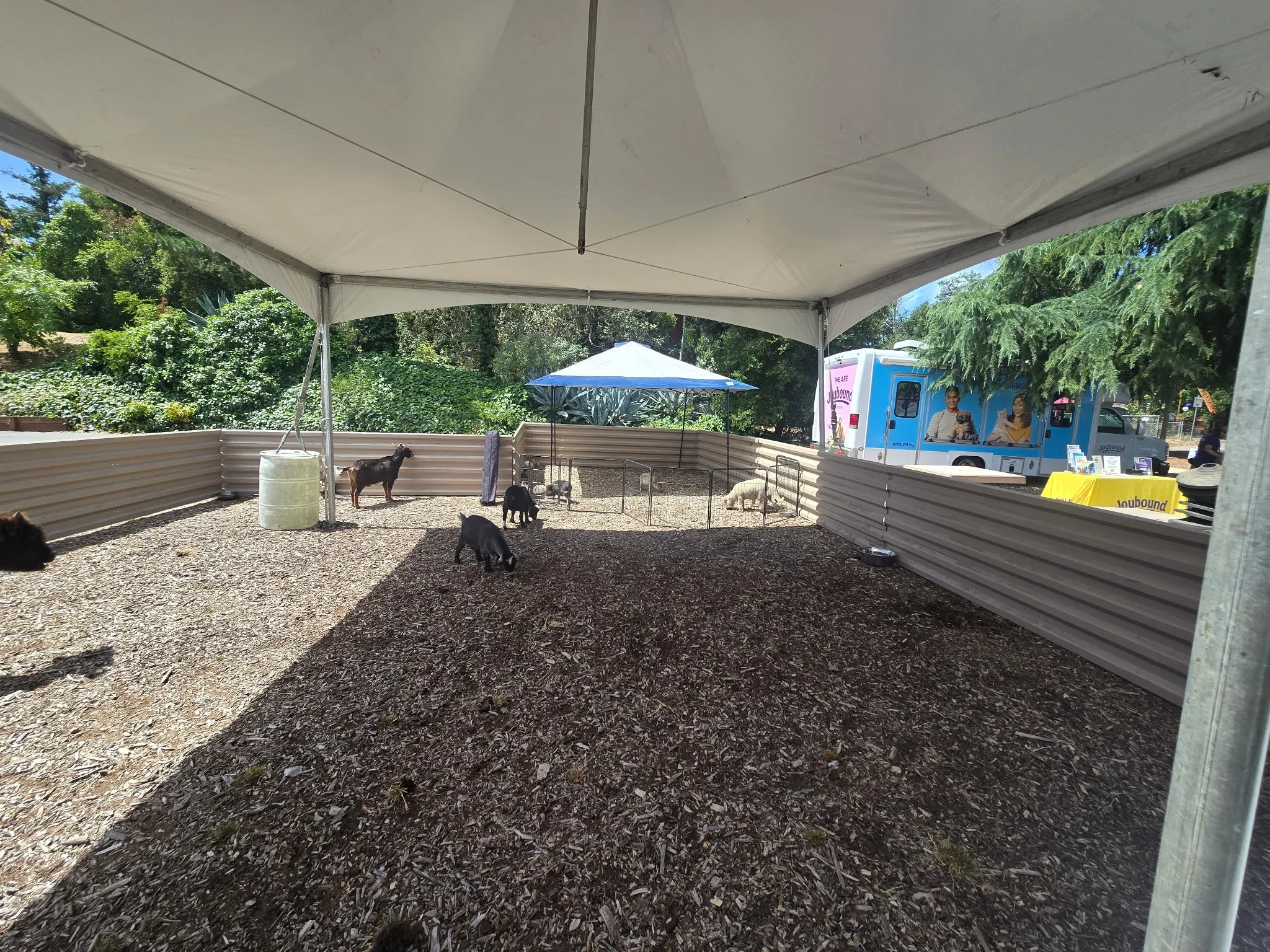 IMG_20260606_120538 (7).jpg