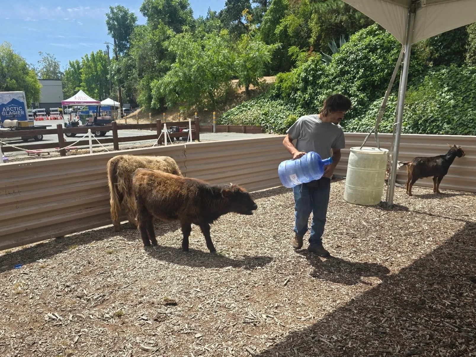 Walnut Creek Art &amp; Wine Festival