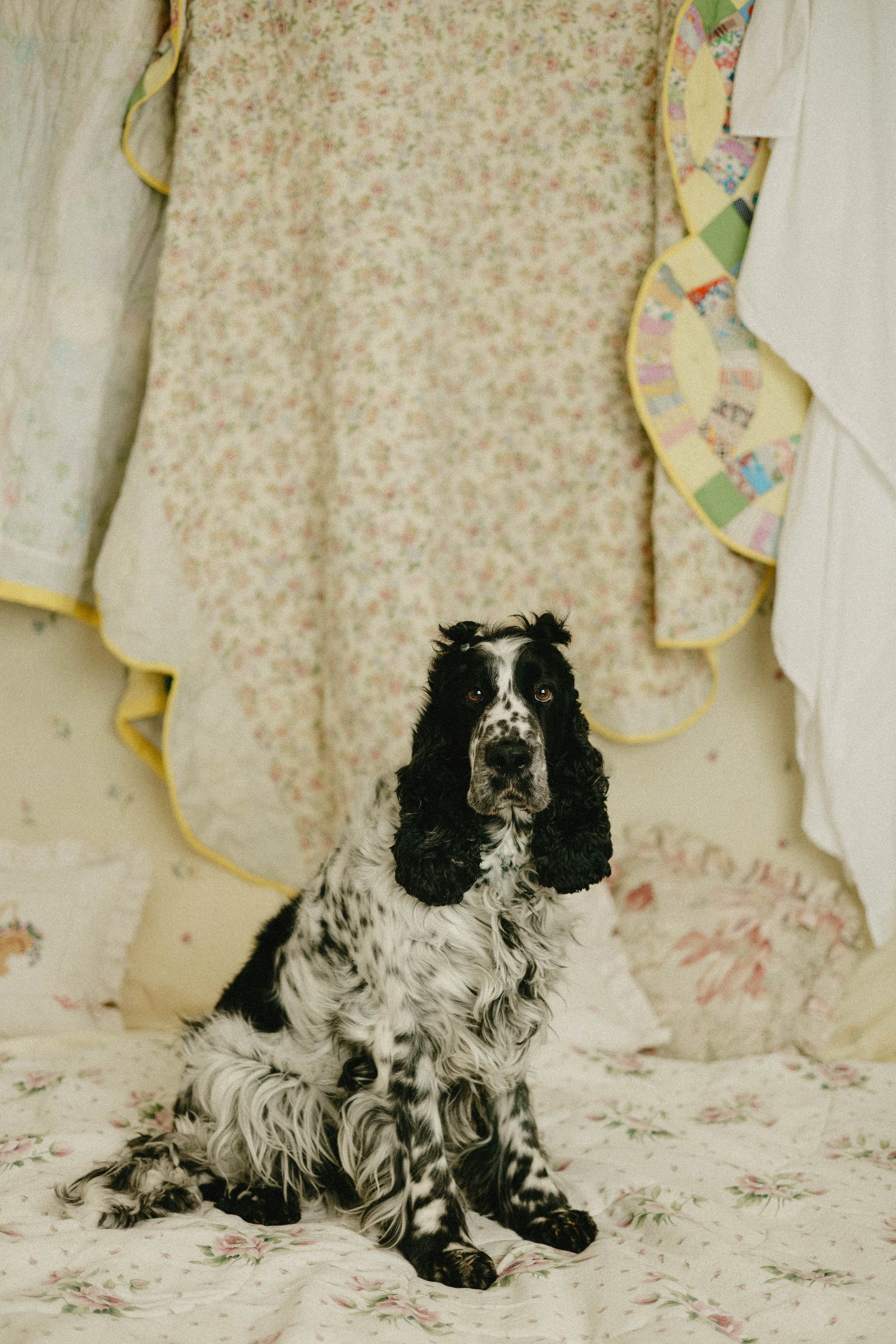 katey-mac-photographyNG0A7260.jpg