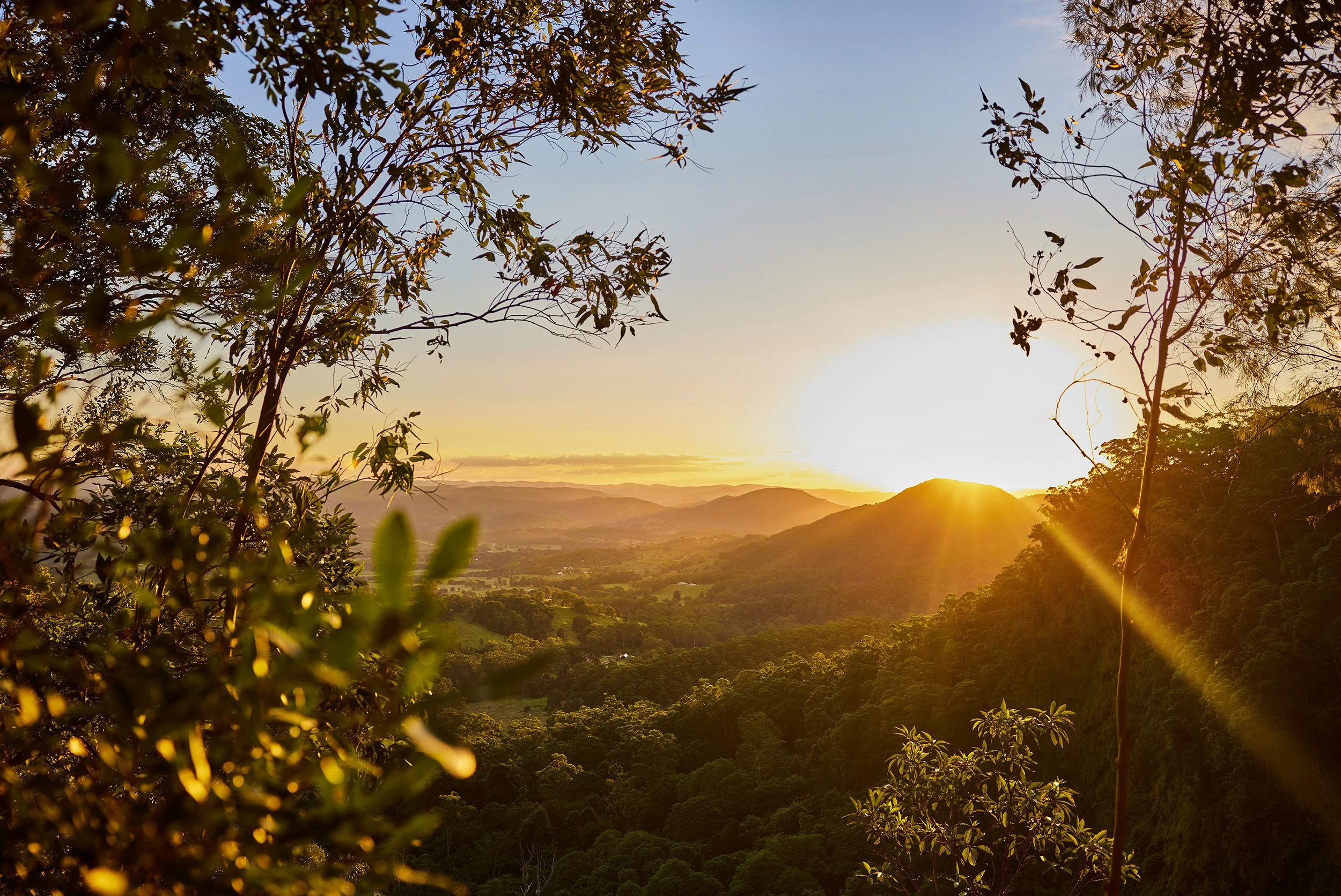 Sunset over a hilly landscape with trees and foliage in the foreground.