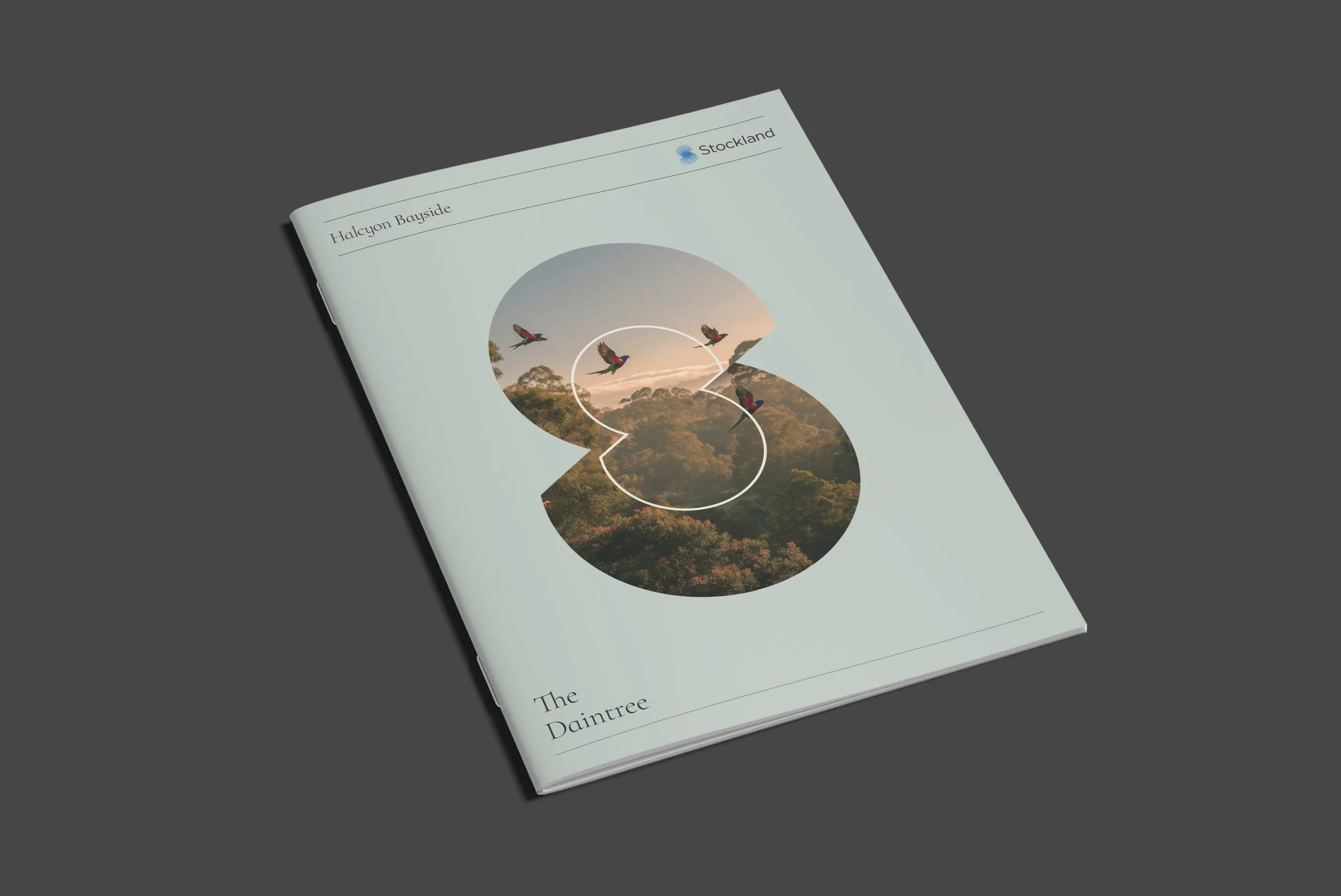 Halcyon-Bayside-Daintree-cover.jpg