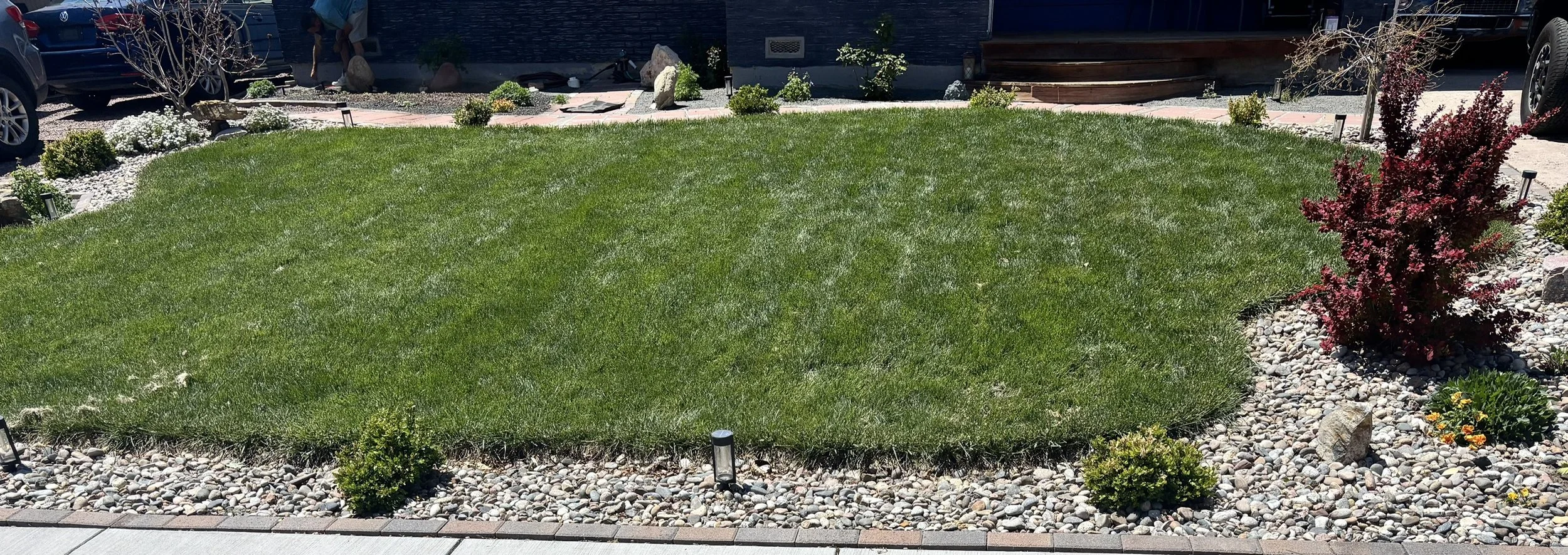 Del Mar Front Yard Landscaping
